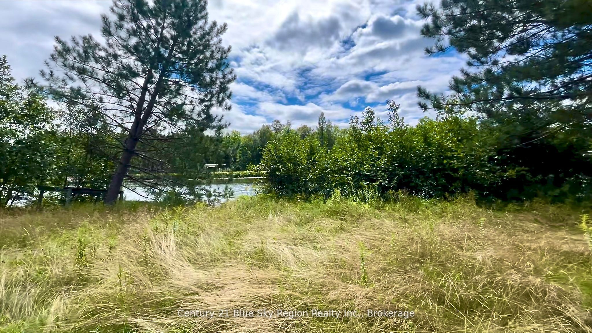 88 Richer Road Property Photo 22