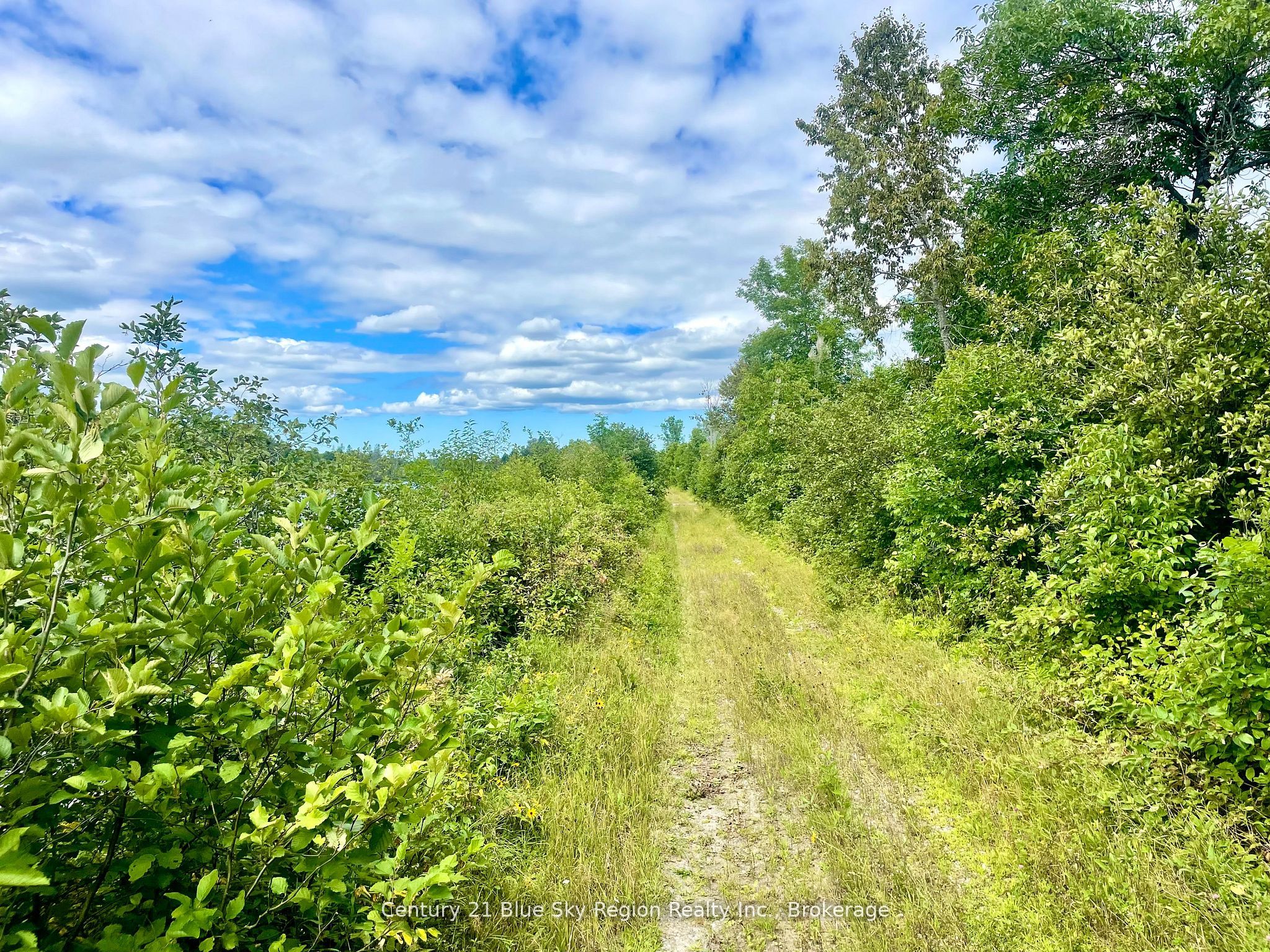 88 Richer Road Property Photo 23