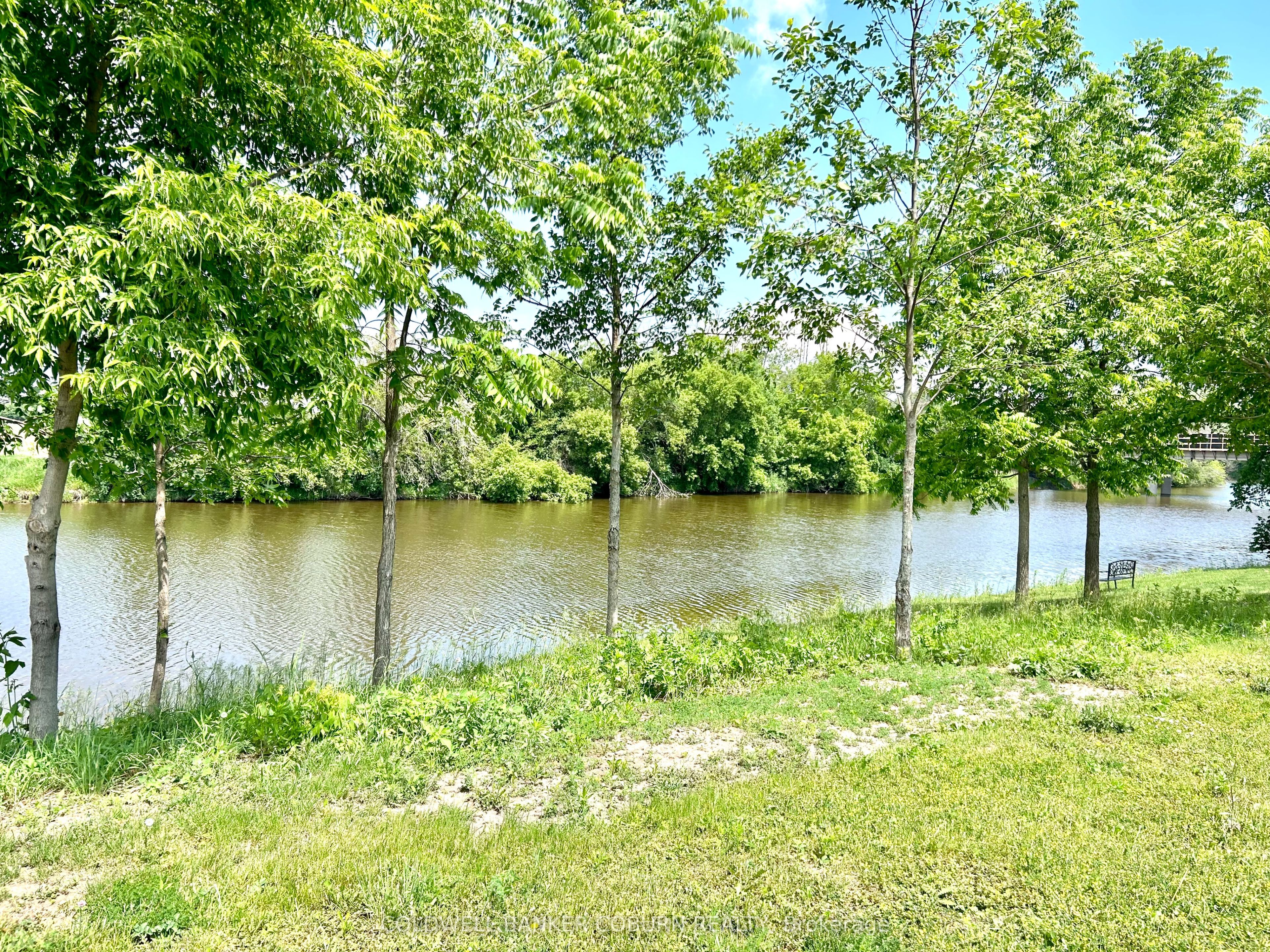 67 Erin Avenue Property Photo 4
