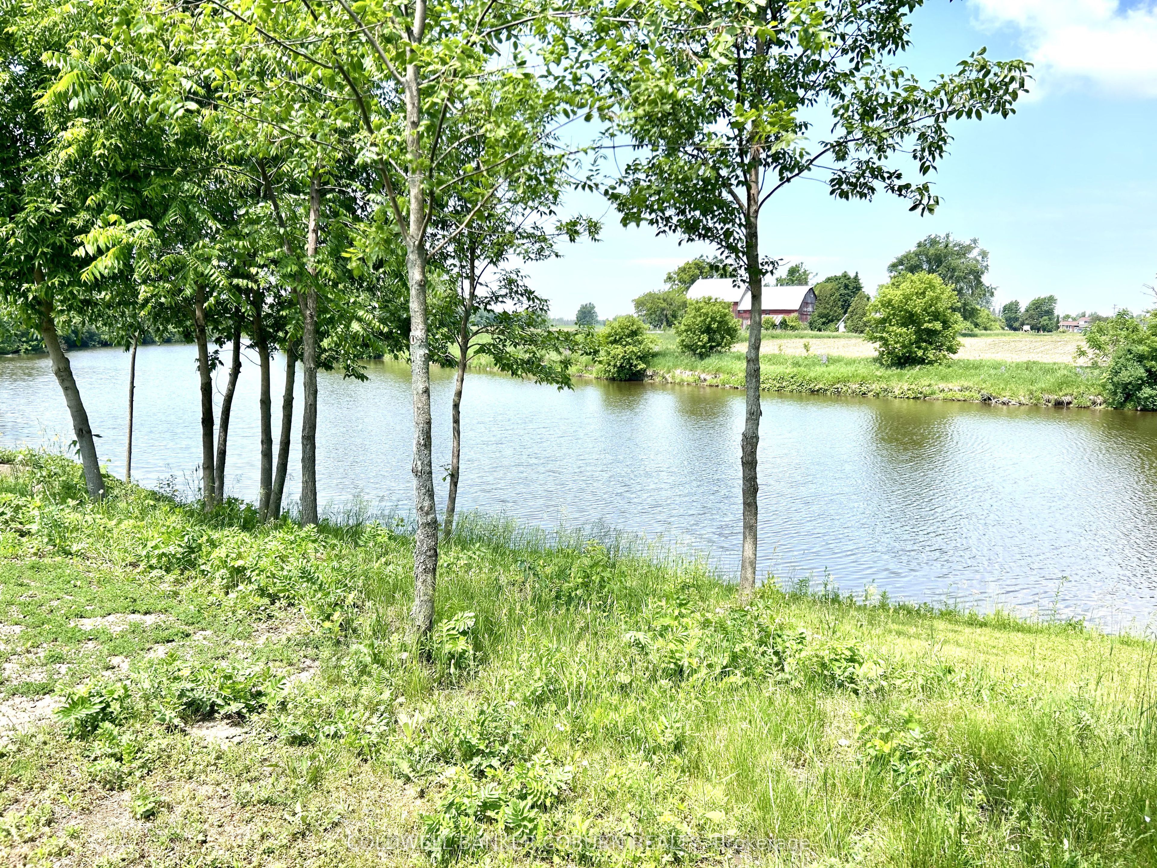 67 Erin Avenue Property Photo 6
