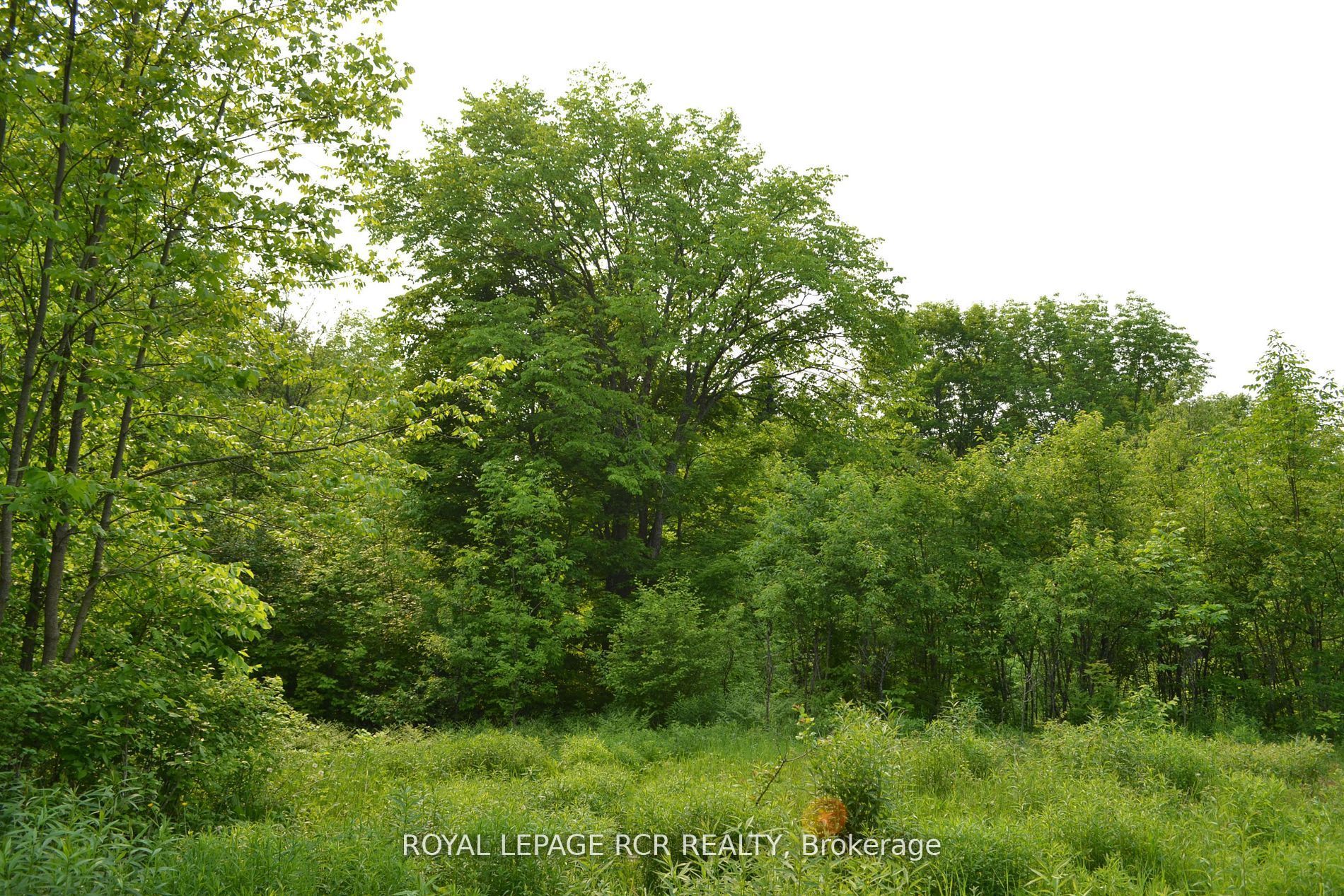 1527 Madill Road Property Photo 3