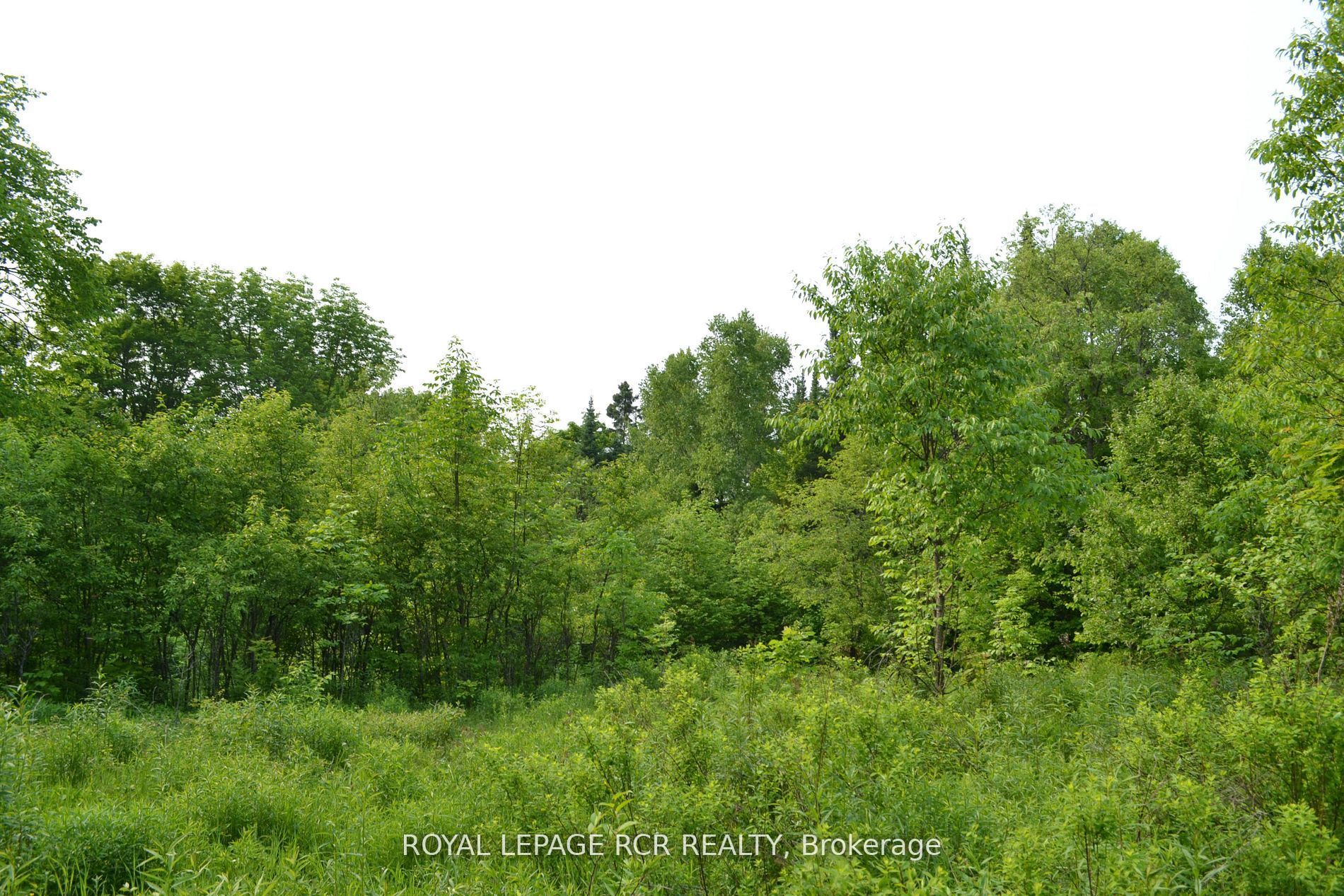 1527 Madill Road Property Photo 5