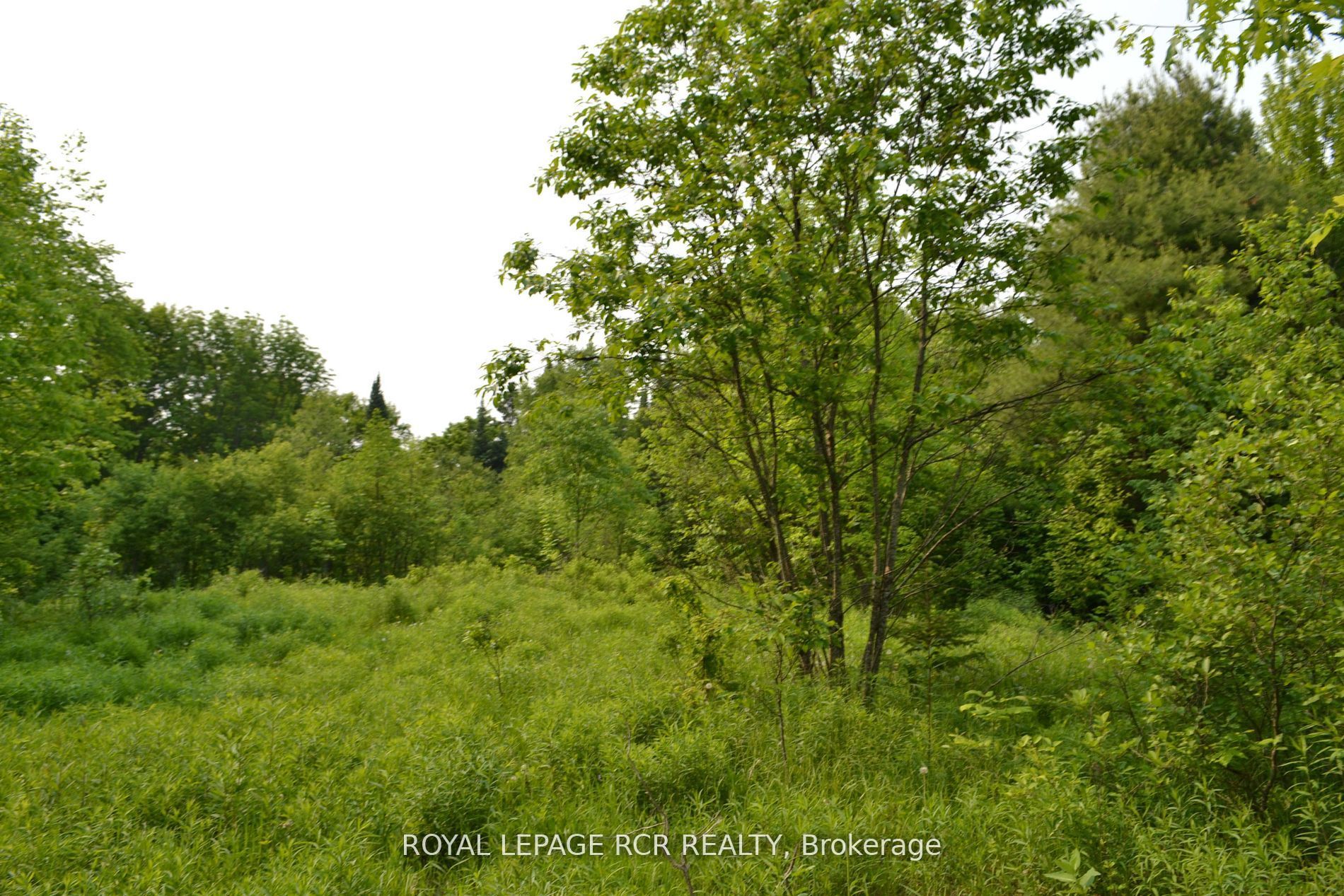 1527 Madill Road Property Photo 6