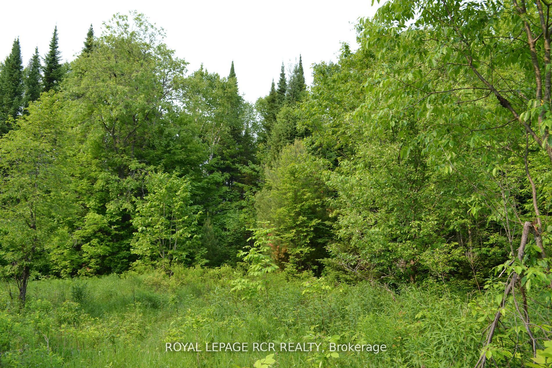 1527 Madill Road Property Photo 7