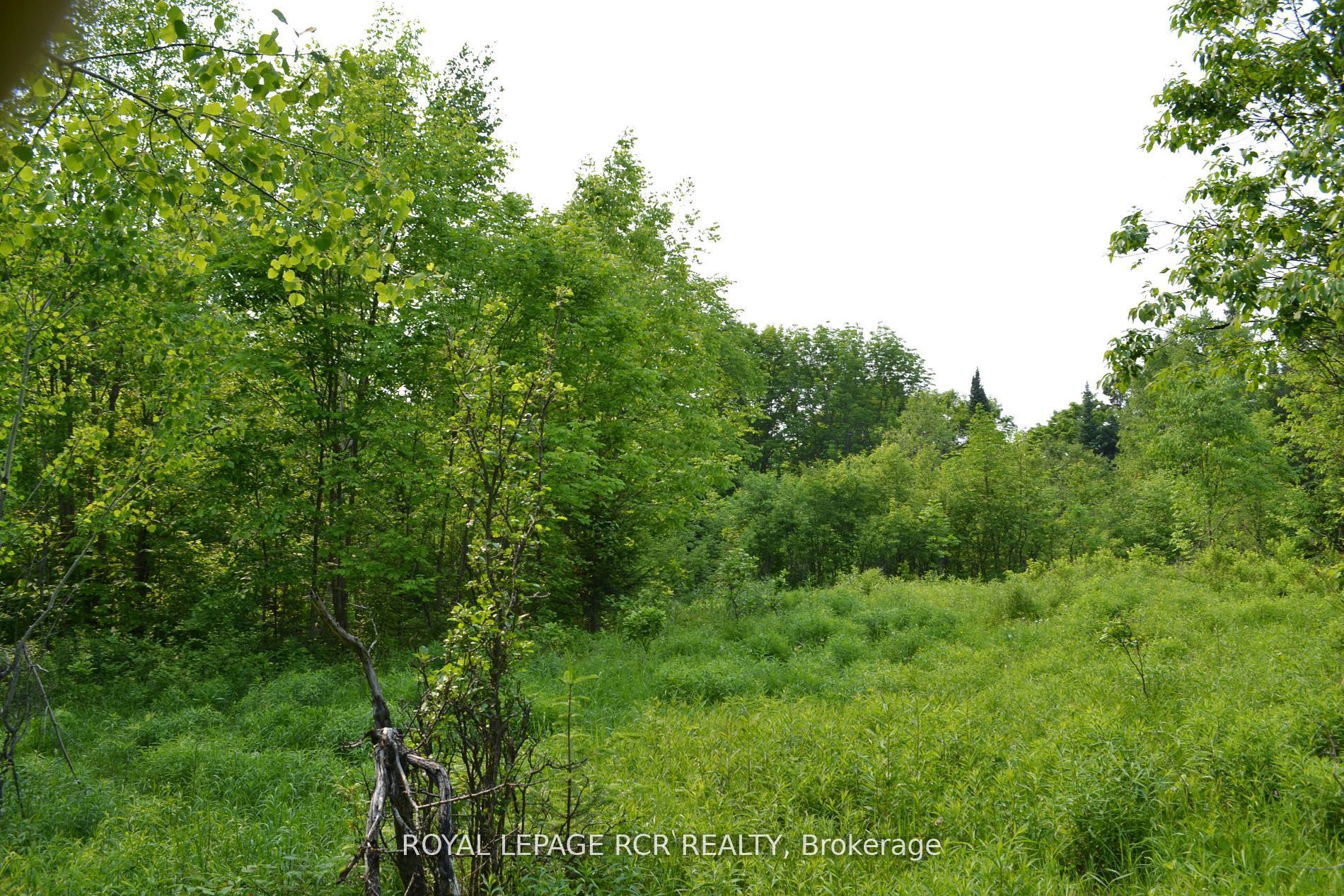 1527 Madill Road Property Photo 8