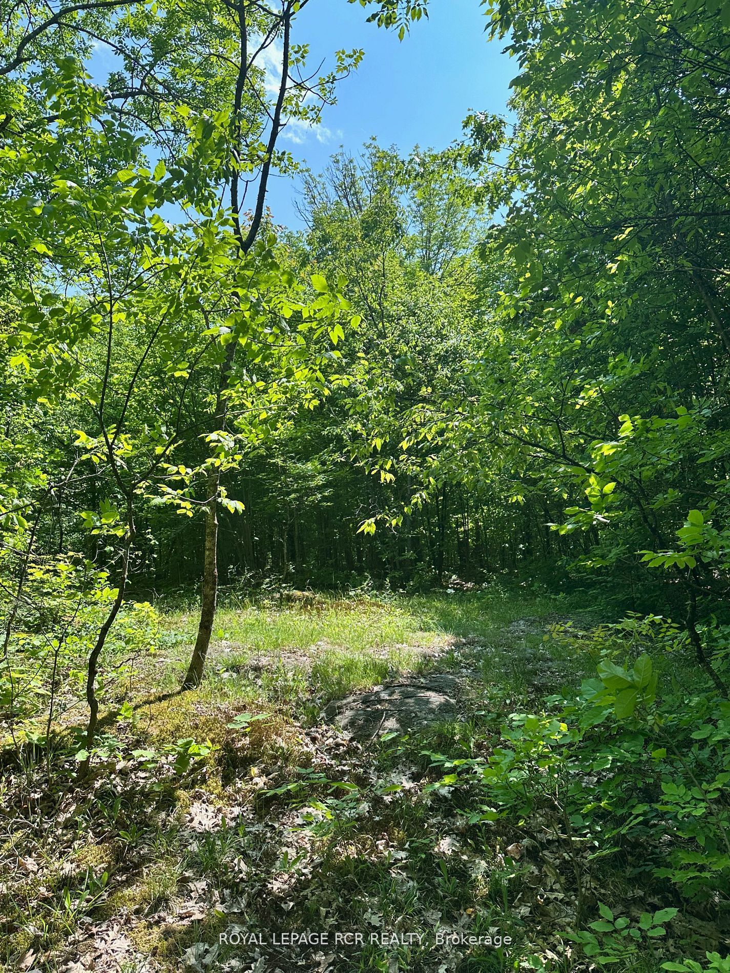 1527 Madill Road Property Photo 11