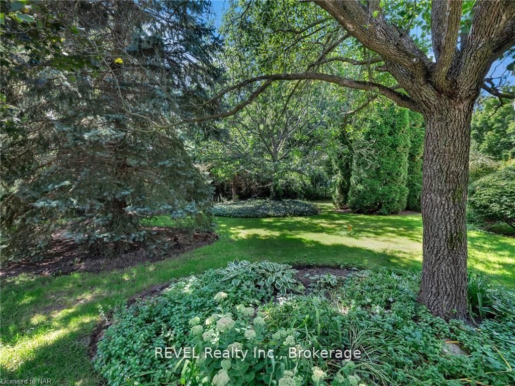 411 Victoria St - Lot 1 Street Property Photo 7