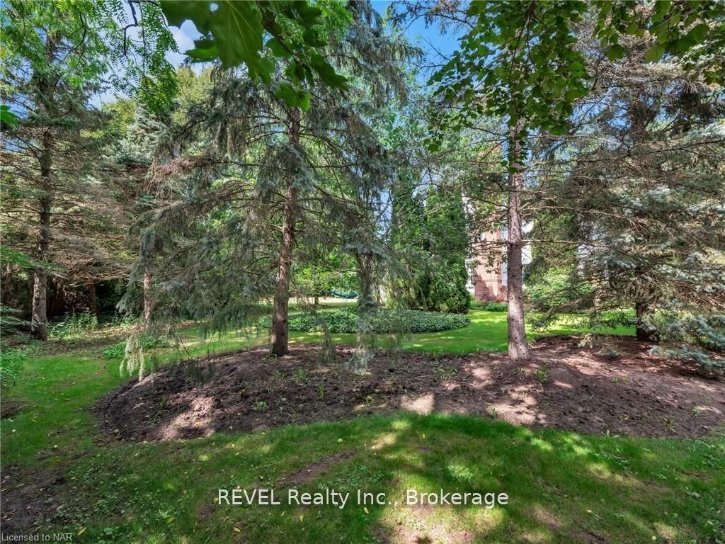 411 Victoria St - Lot 3 Street Property Photo 4