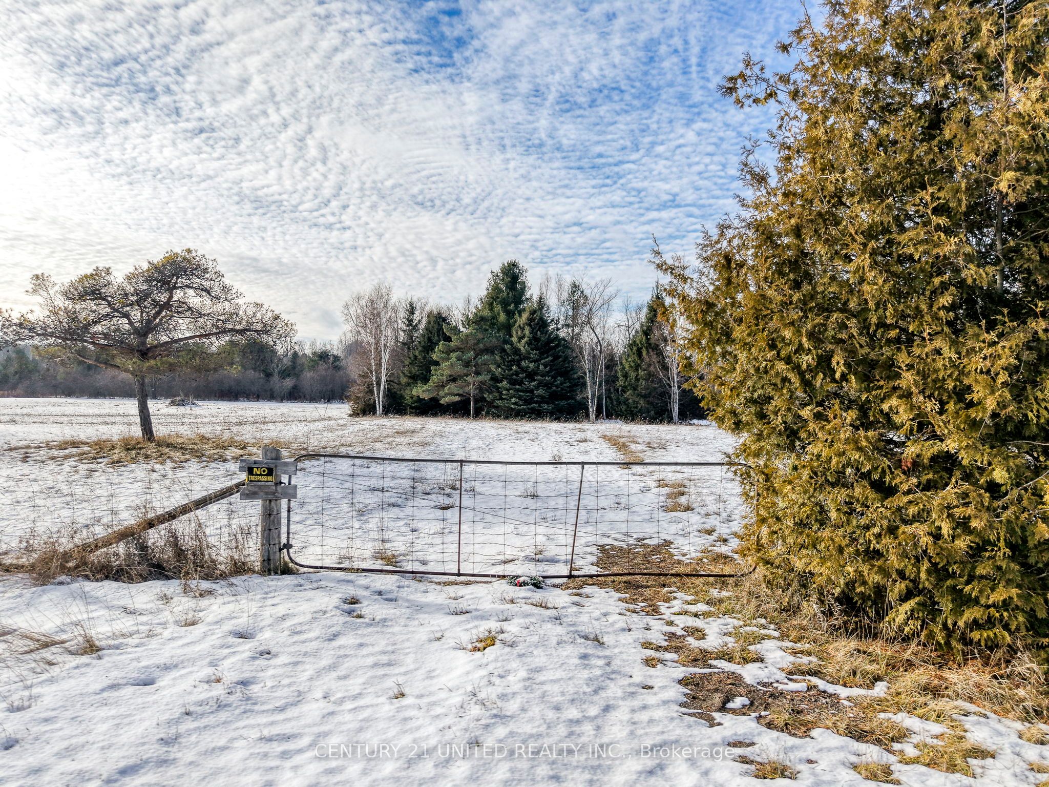 938 County 25 Road Property Photo 9