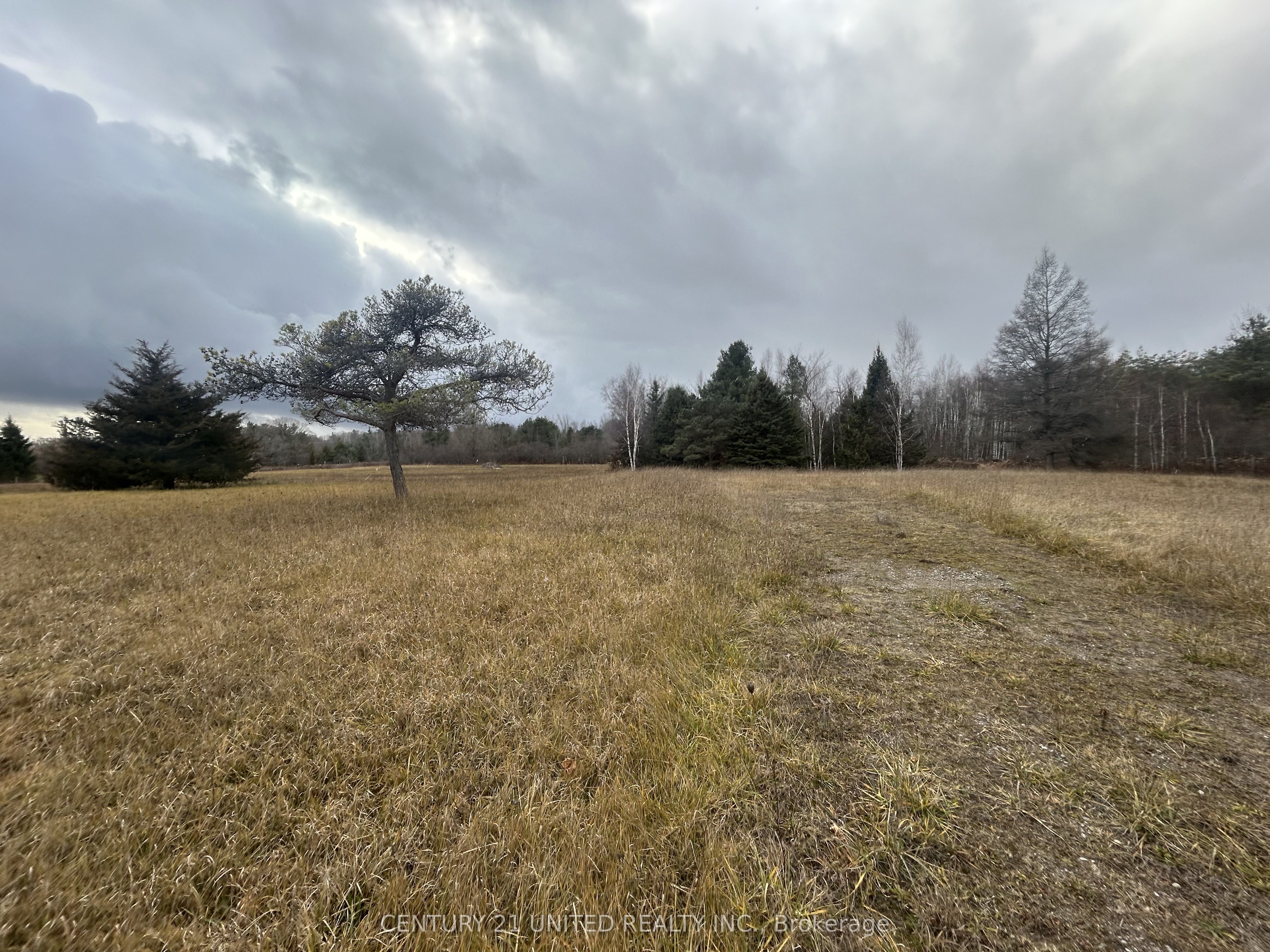 938 County 25 Road Property Photo 44