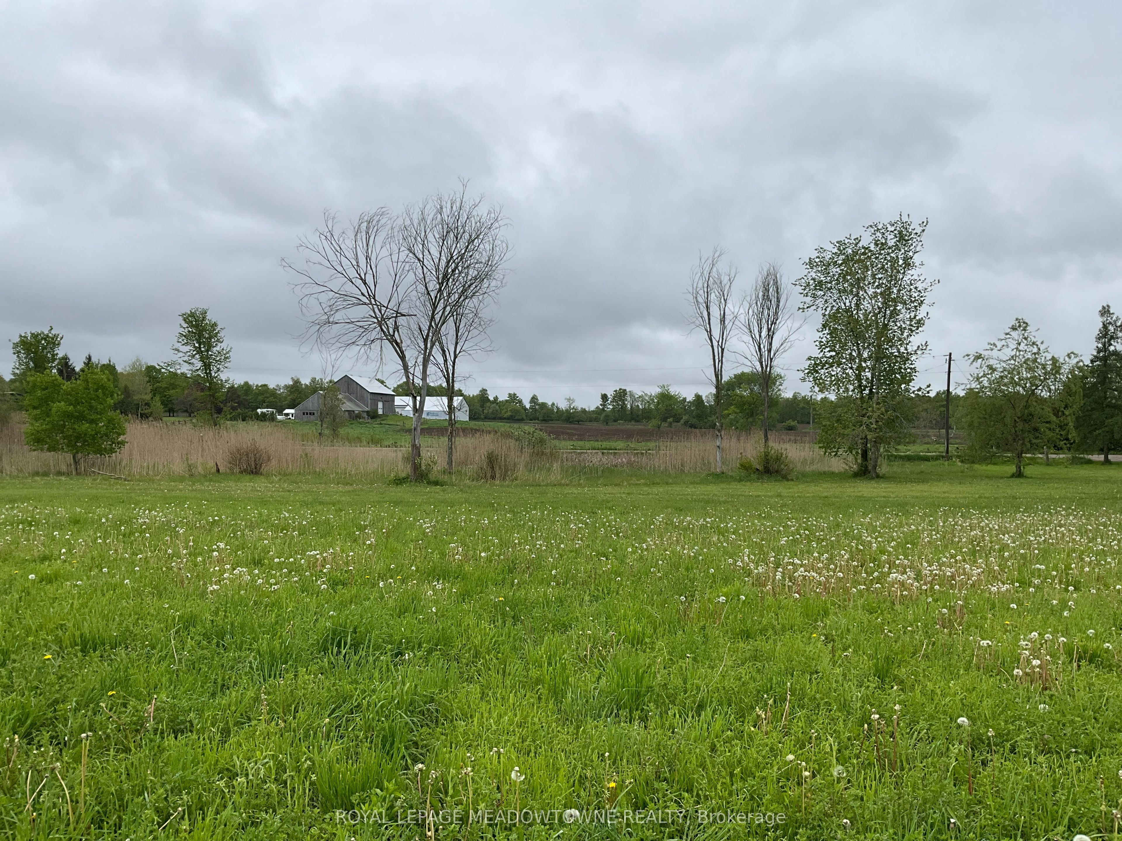 5169 First Line Property Photo 2