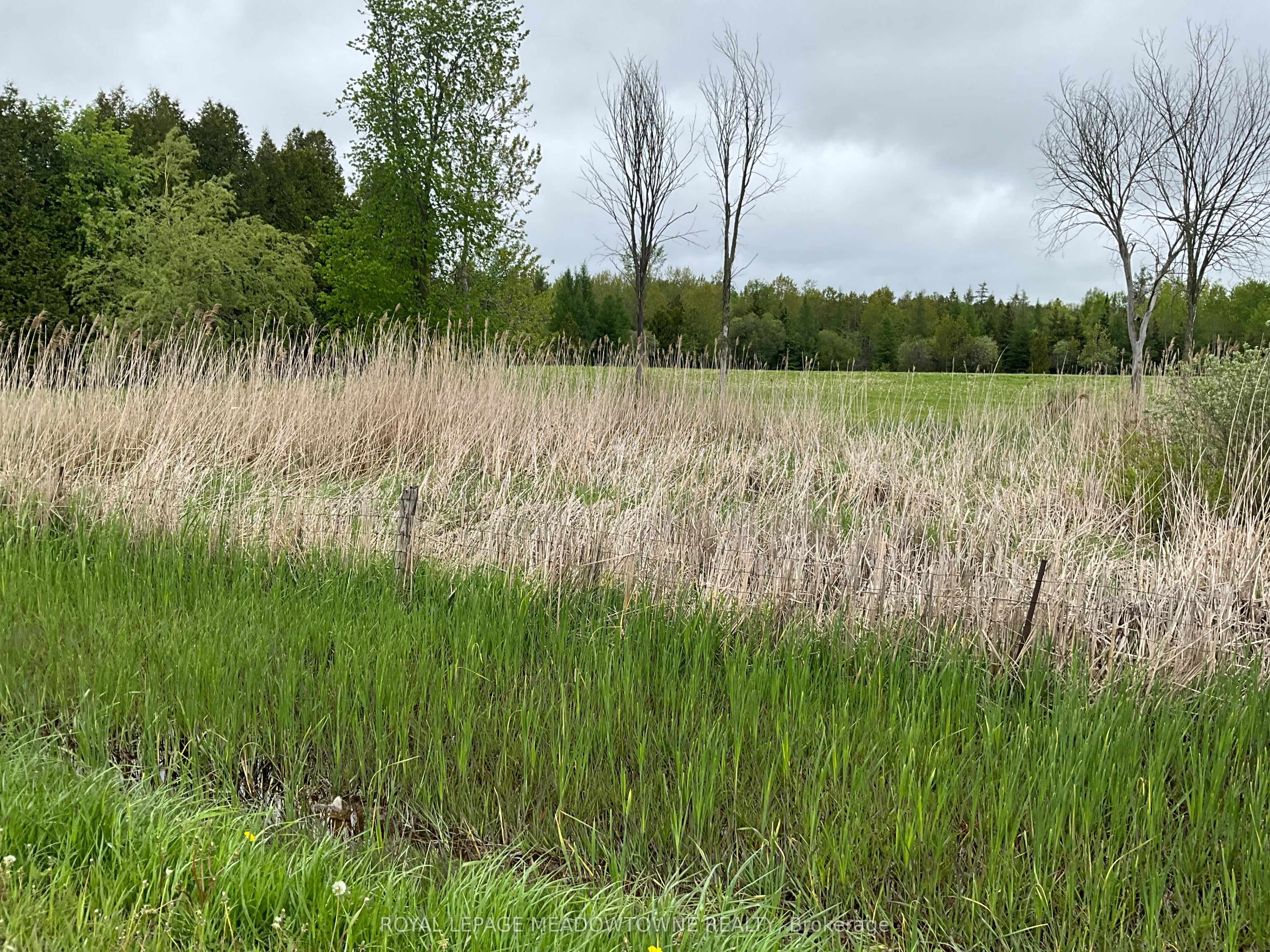 5169 First Line Property Photo 7