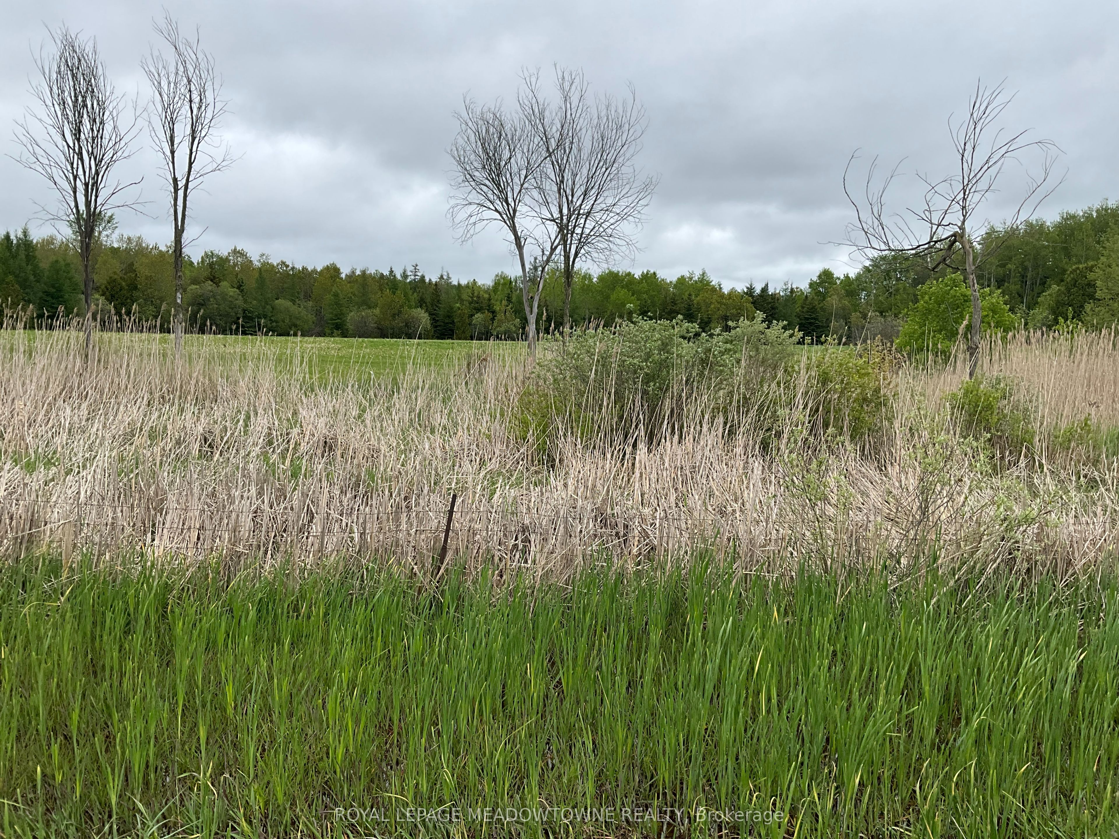 5169 First Line Property Photo 10