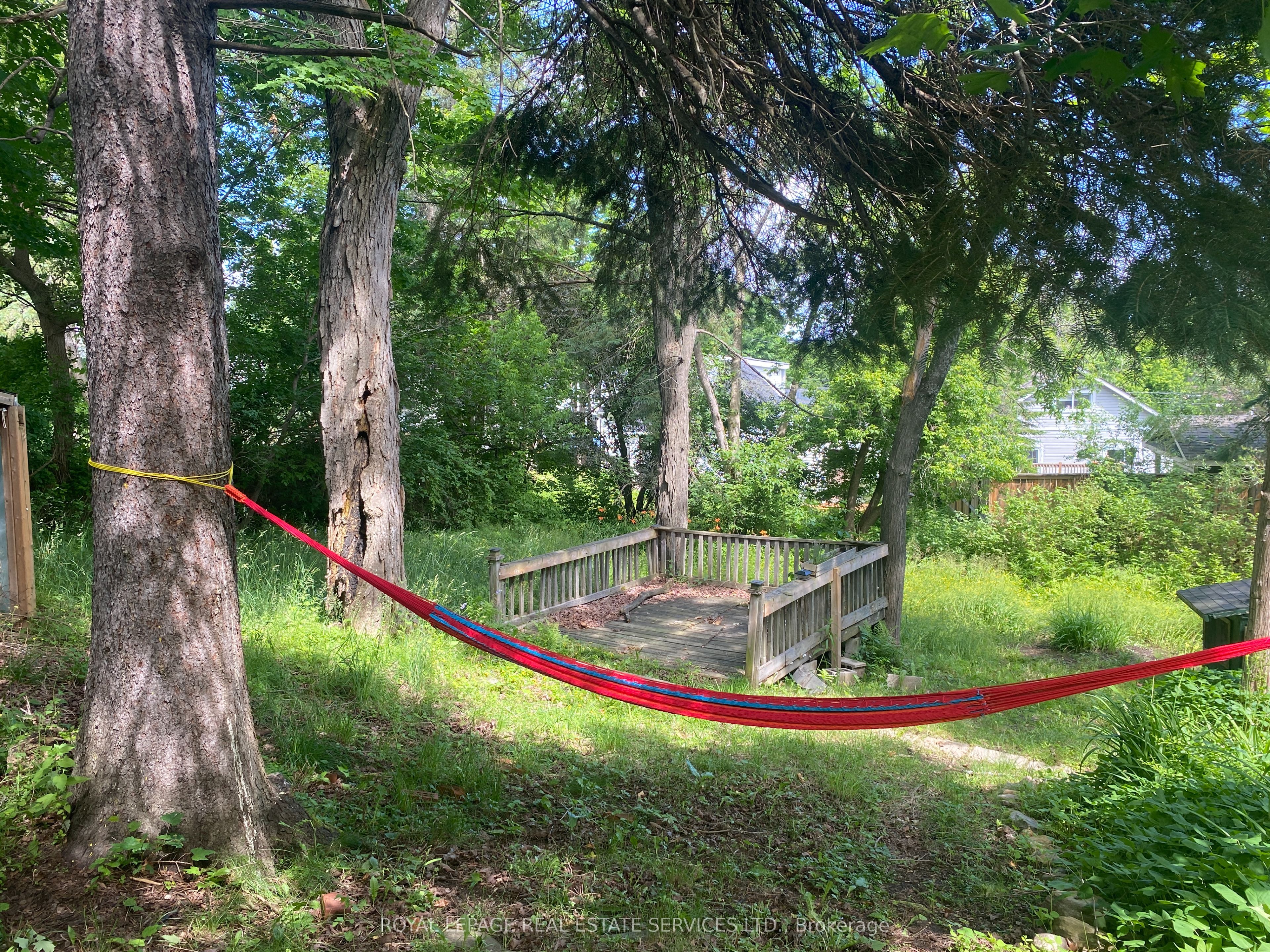 16 Cora Street E Property Photo 5
