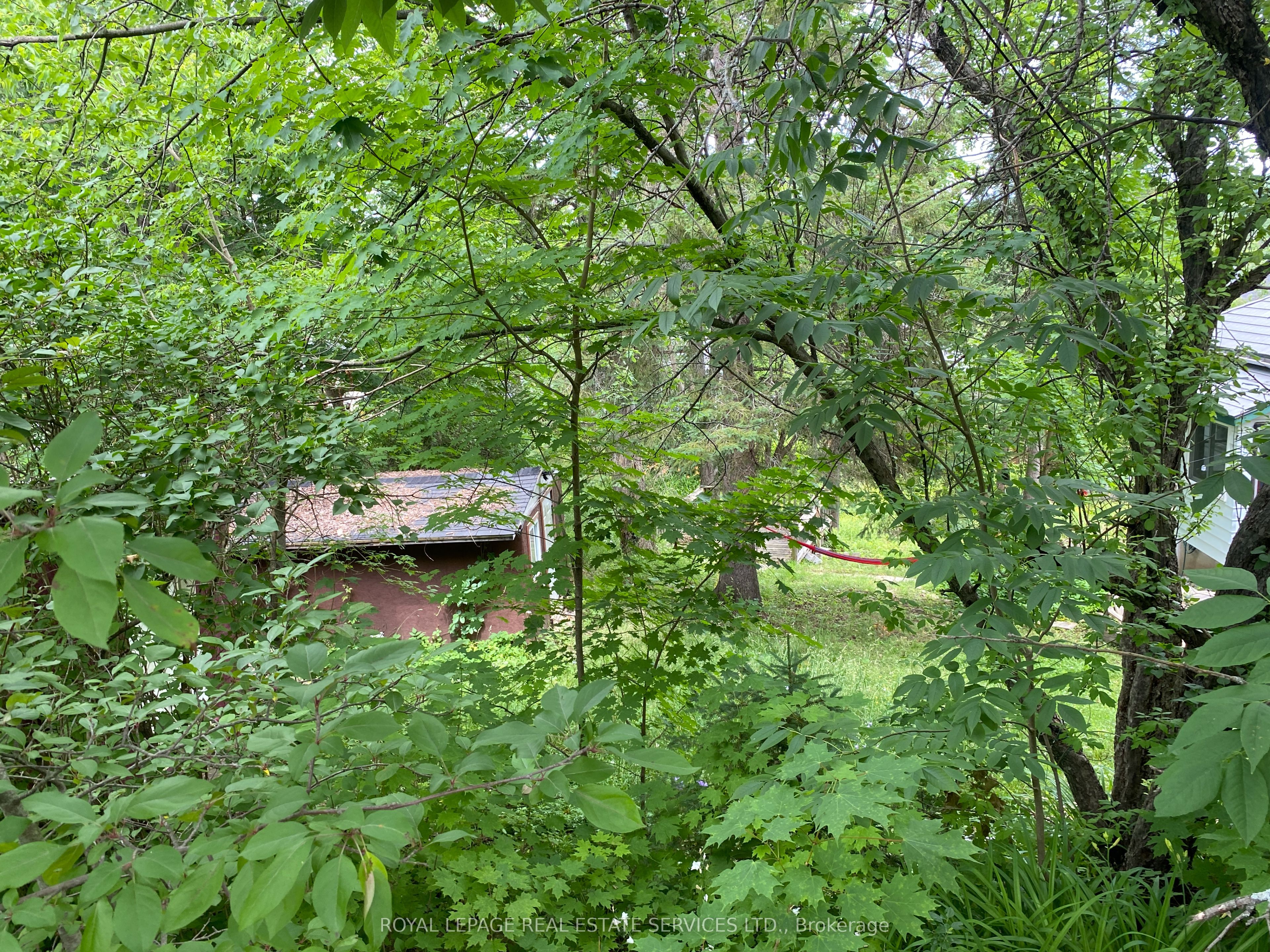 16 Cora Street E Property Photo 7