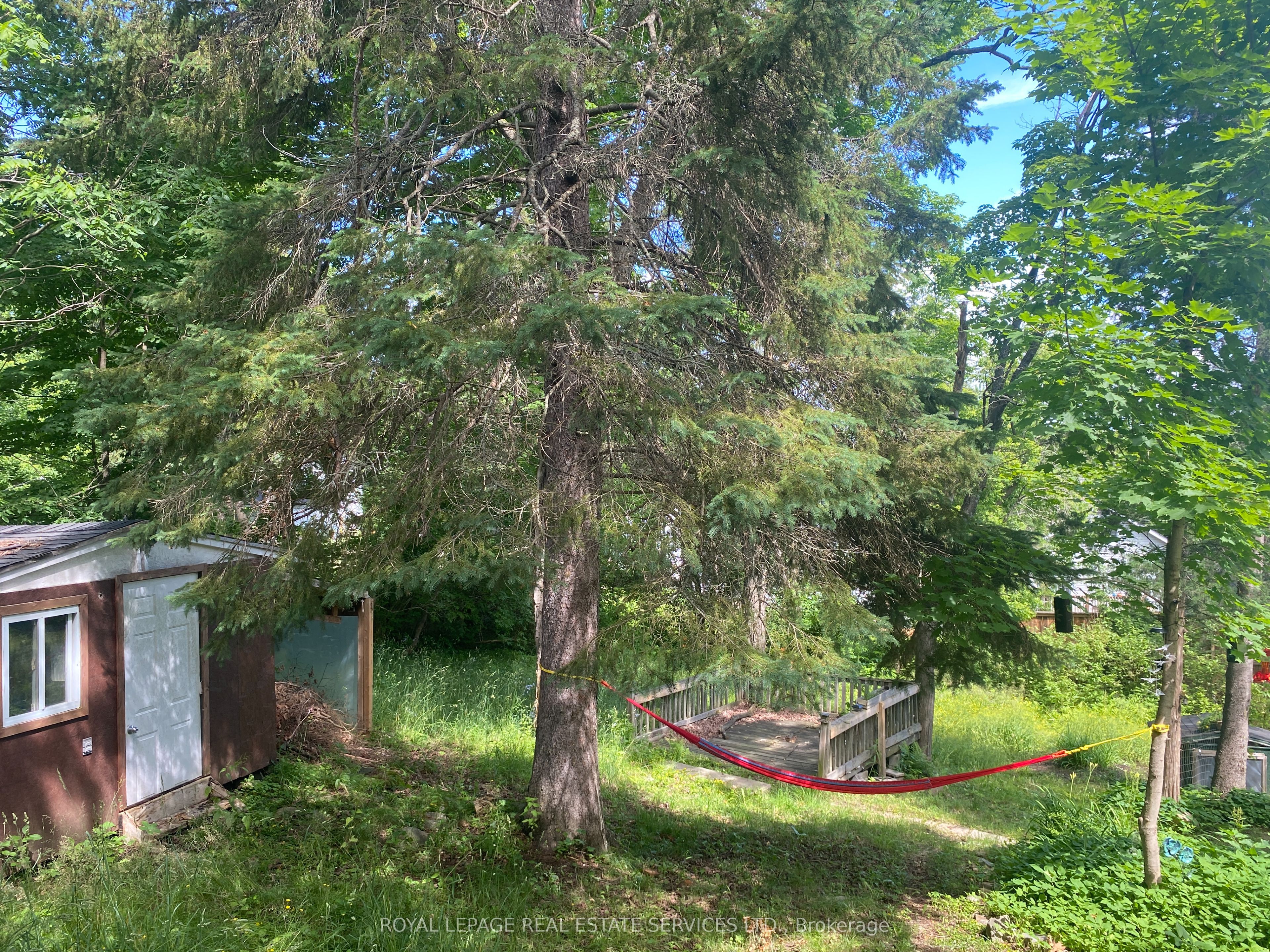 16 Cora Street E Property Photo 9