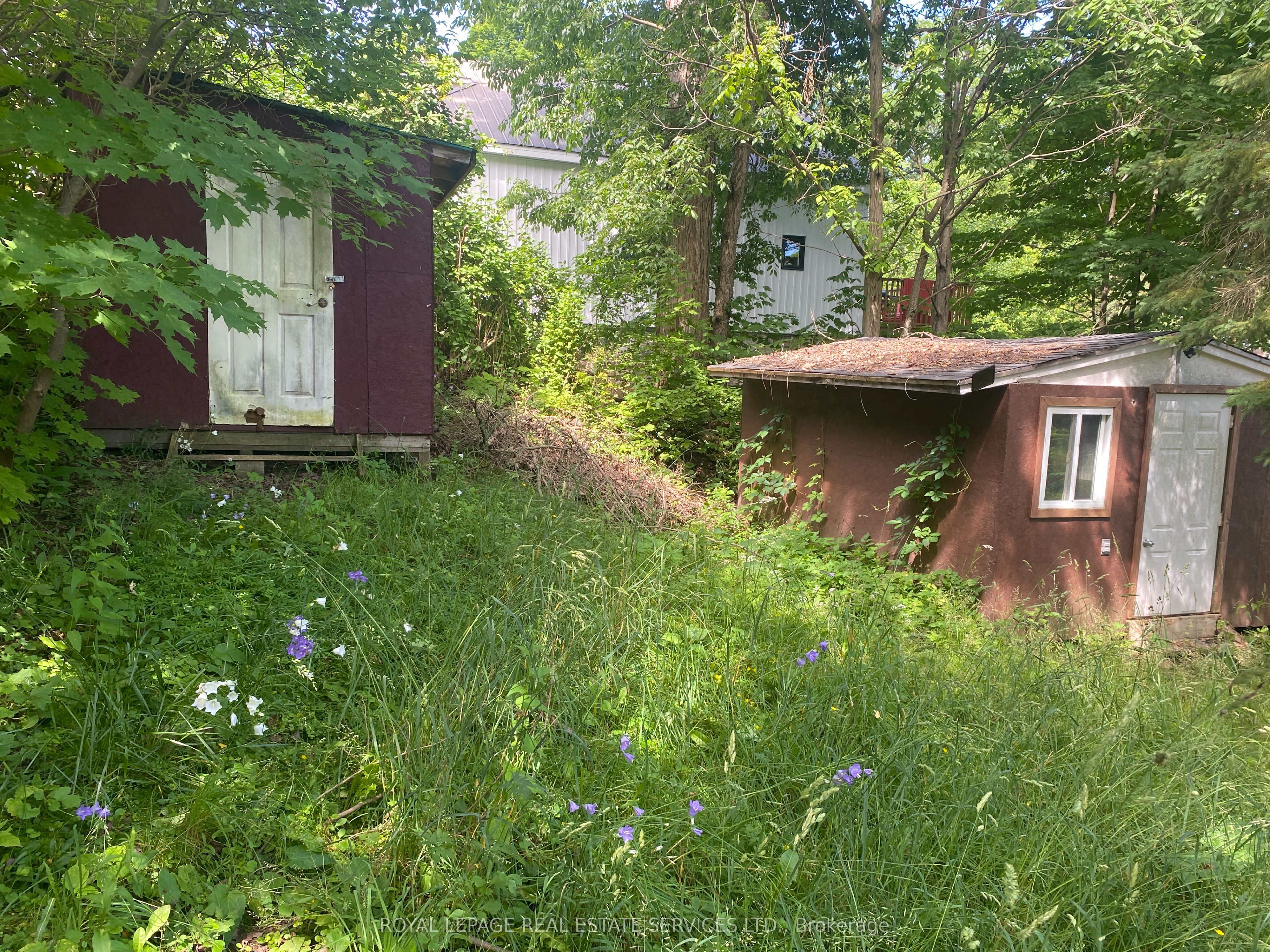 16 Cora Street E Property Photo 11