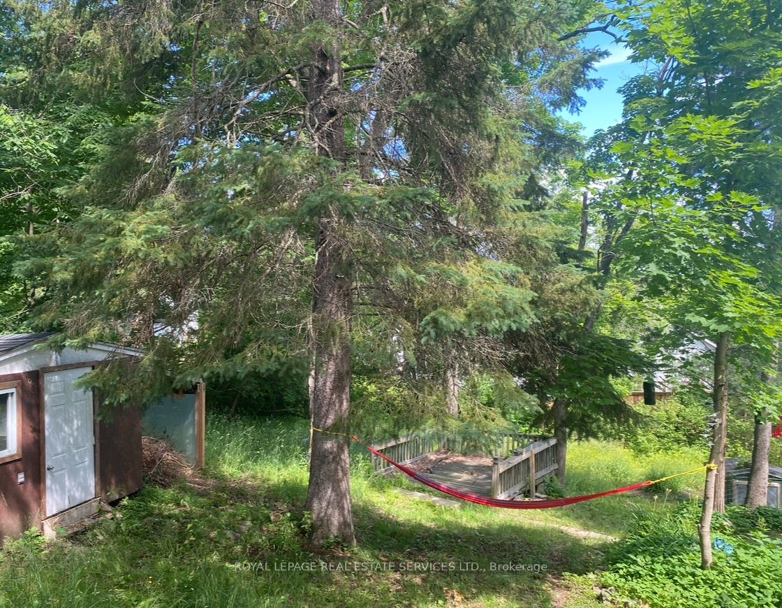 16 Cora Street E Property Photo 19