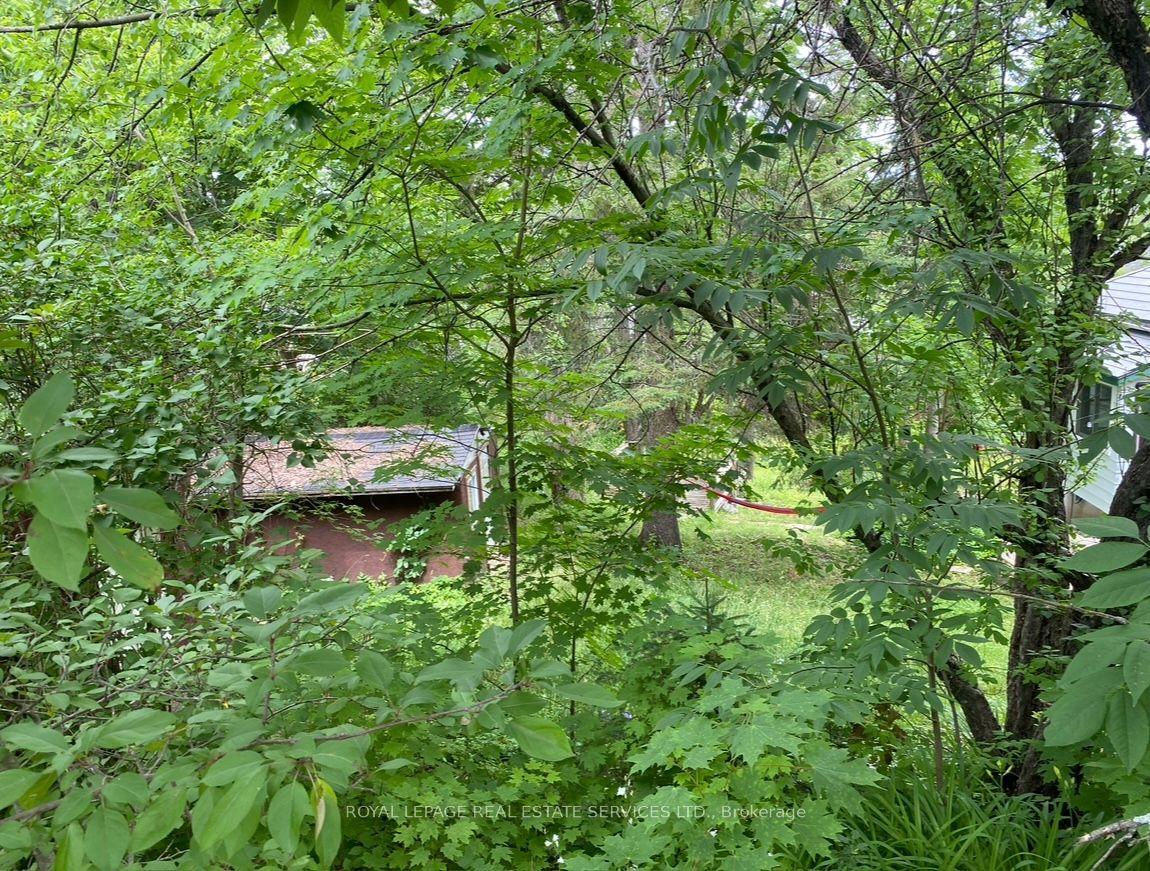 16 Cora Street E Property Photo 20