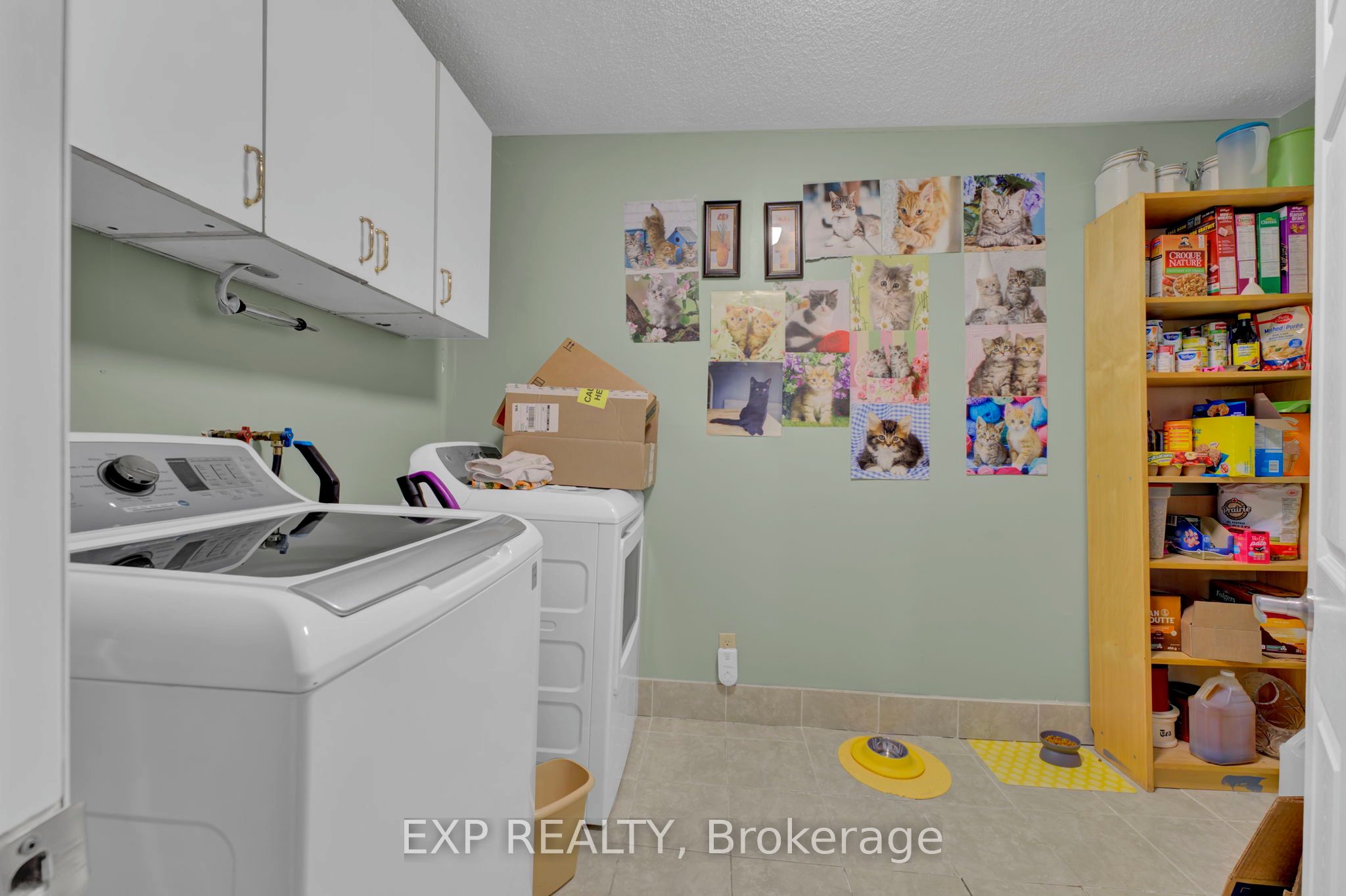 194 Furnival Road Property Photo 9