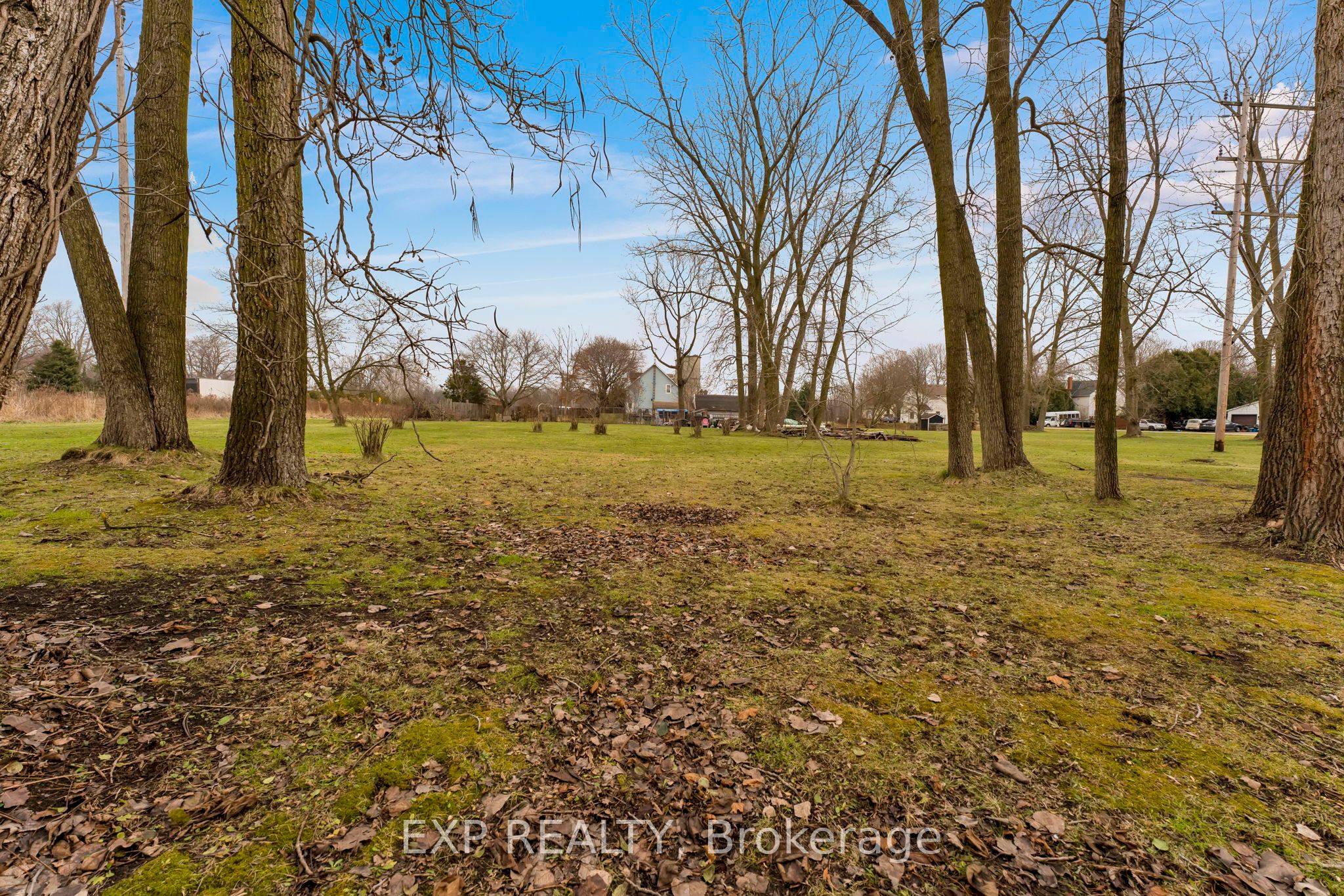 194 Furnival Road Property Photo 18
