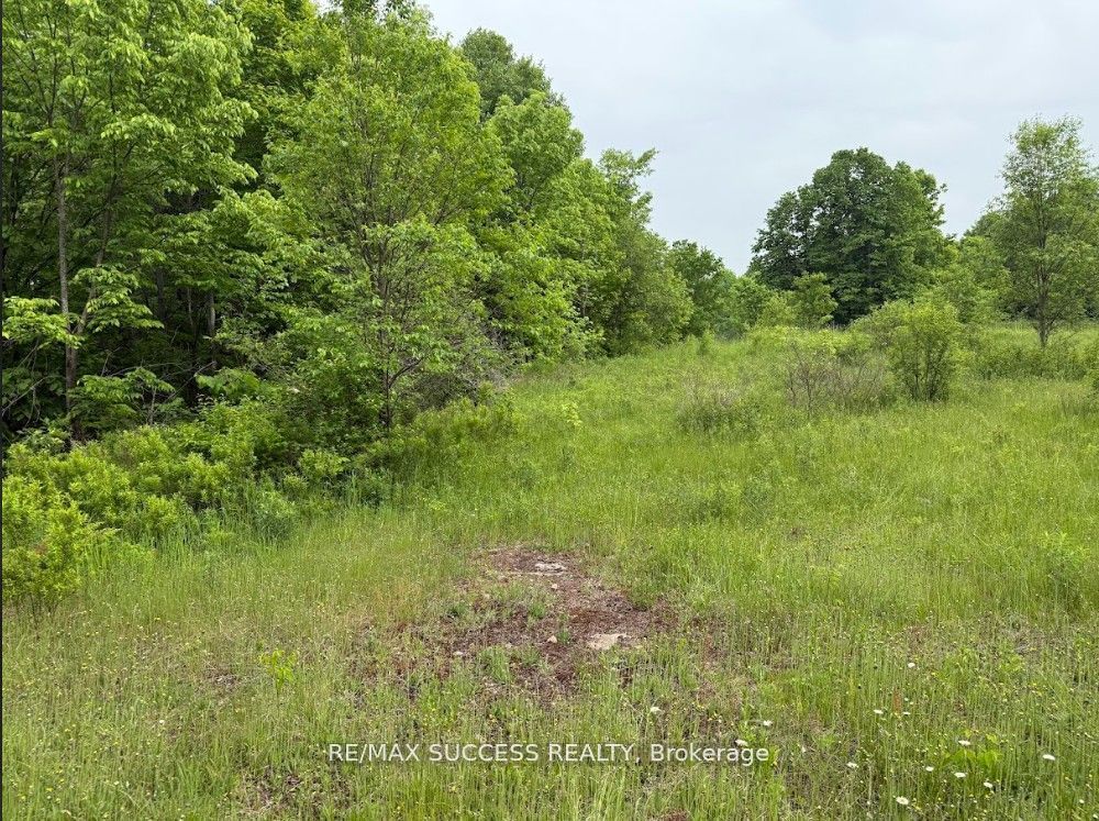 2248 Babcock Road Property Photo 8