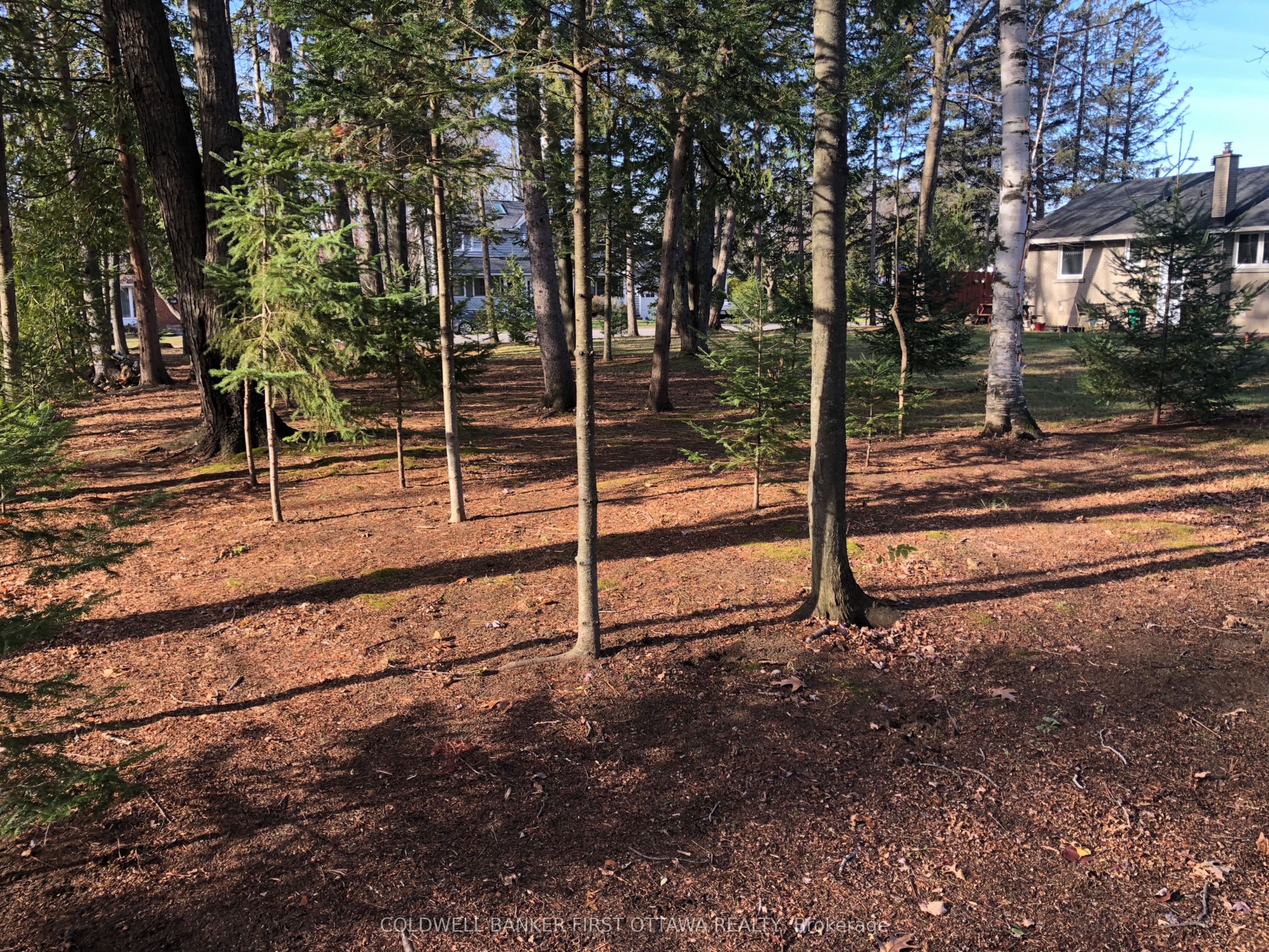 65 Vaan Drive Property Photo 2