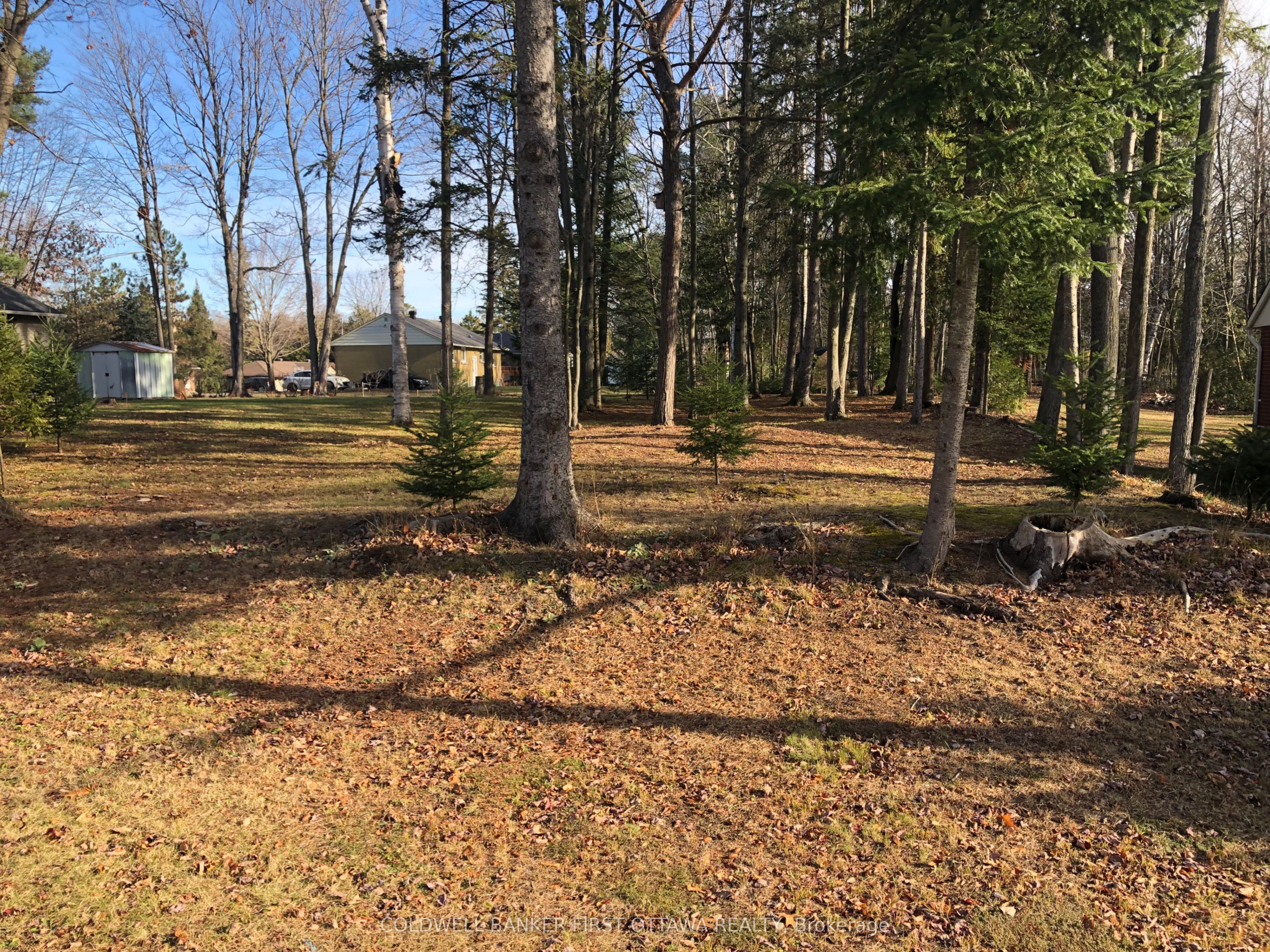 65 Vaan Drive Property Photo 4