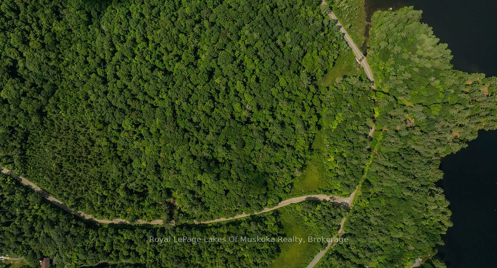 0000 Ril Lake Road S Property Photo 4