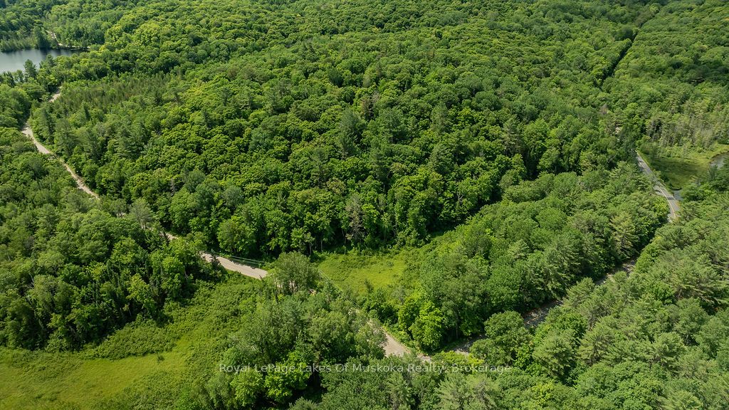 0000 Ril Lake Road S Property Photo 6