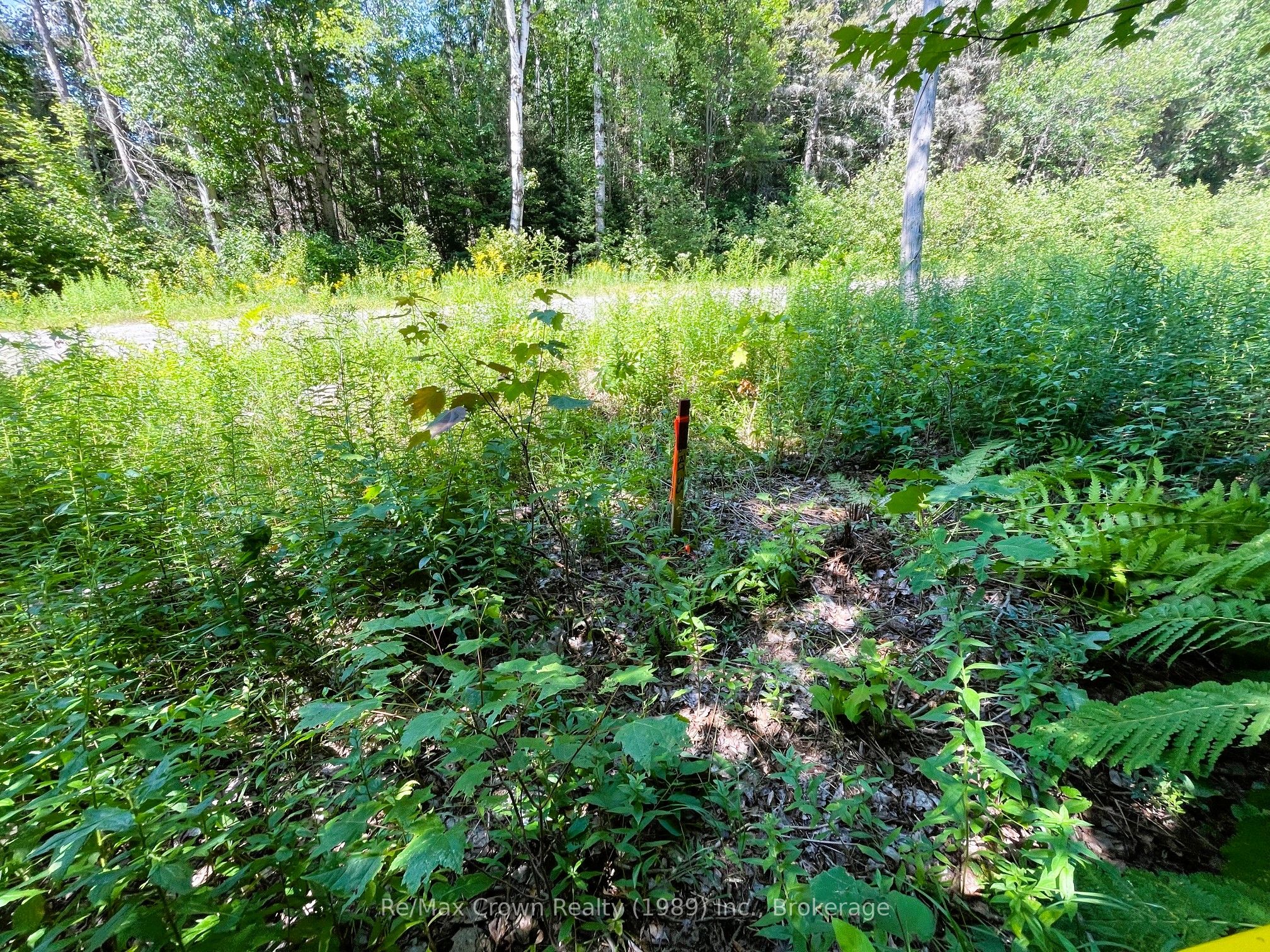 0 Barrett Road Property Photo 17