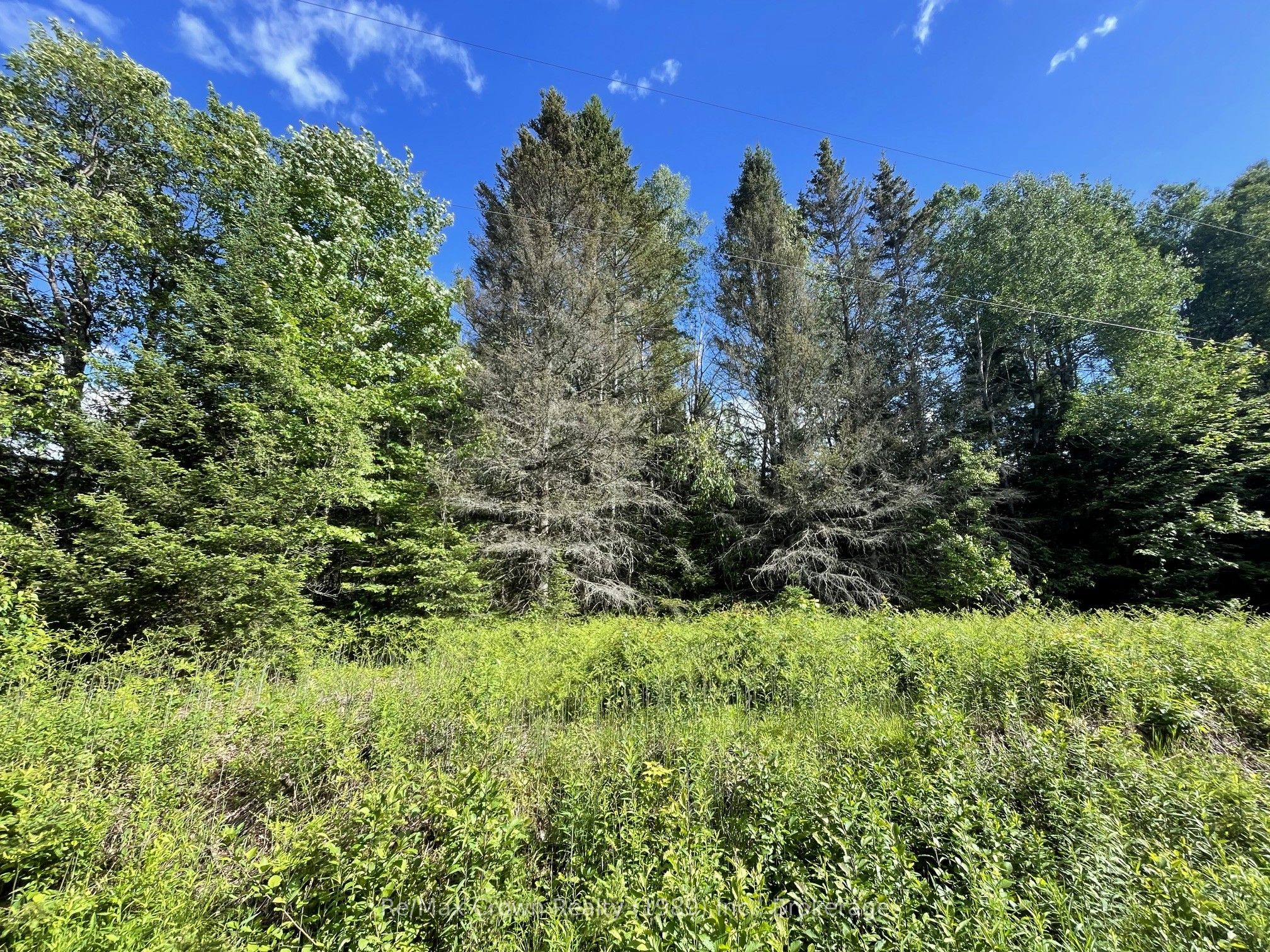 0 Barrett Road Property Photo 18