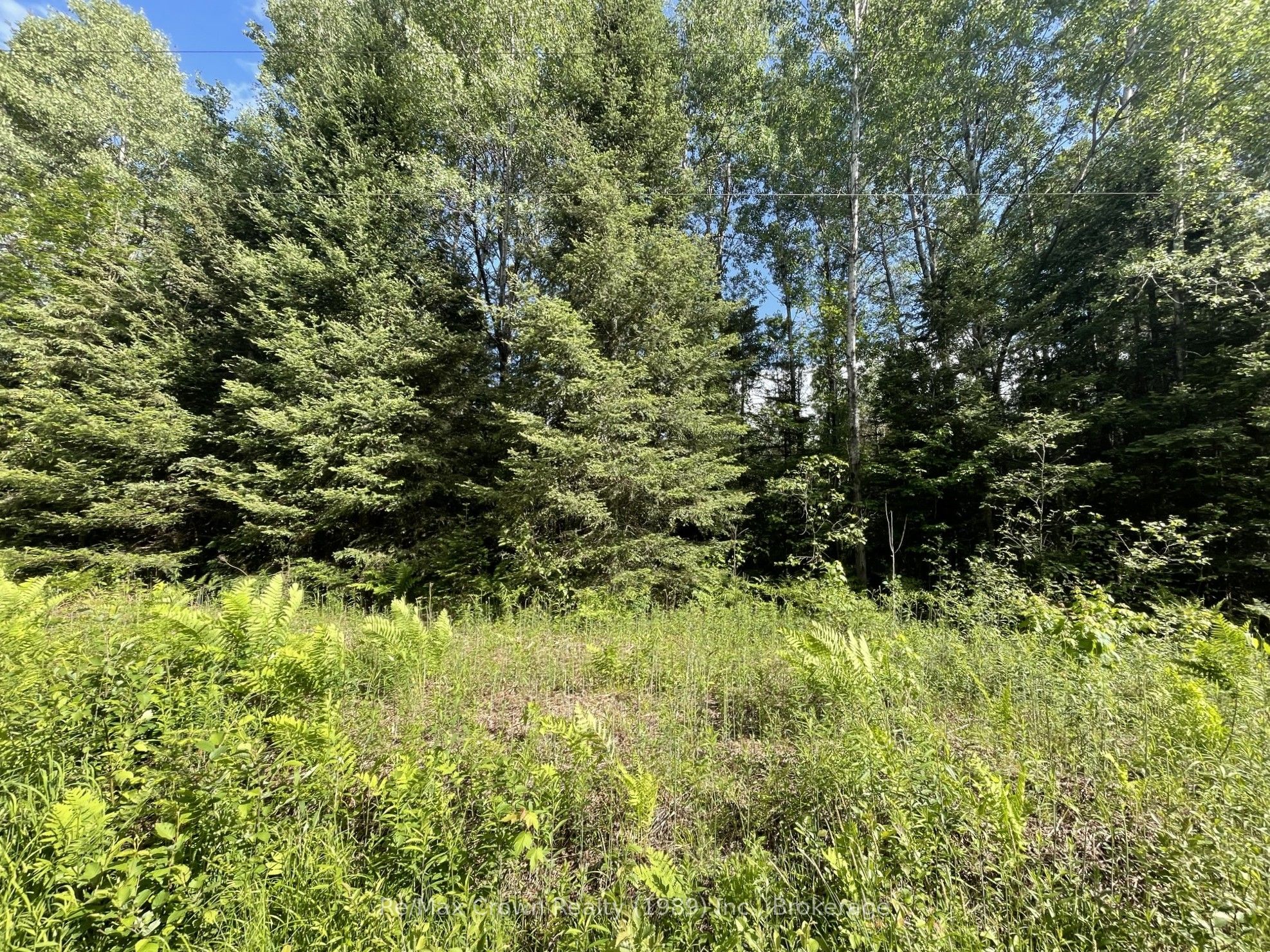 0 Barrett Road Property Photo 19