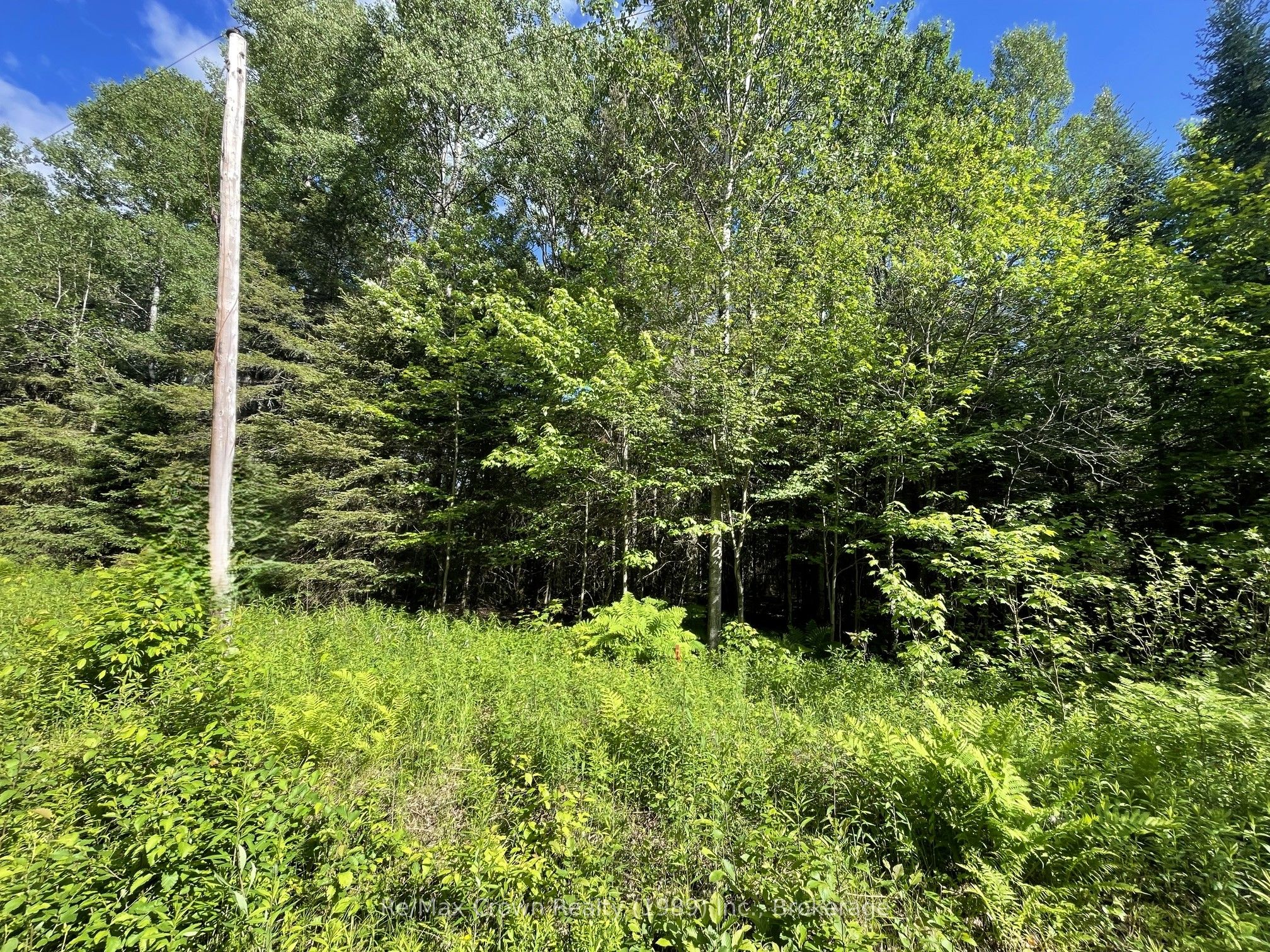 0 Barrett Road Property Photo 20