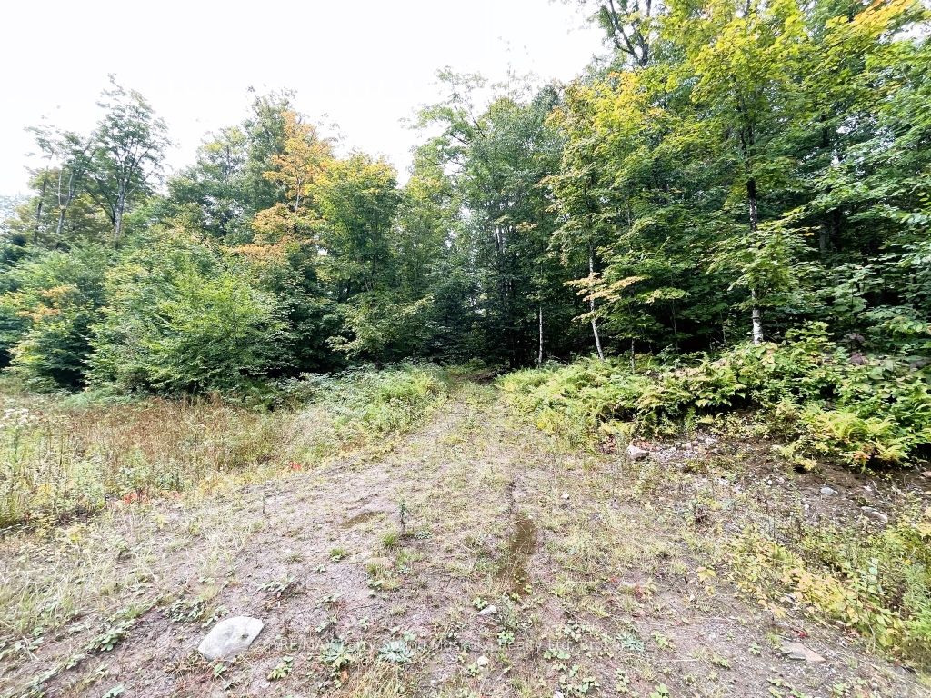 75 Granite Drive Property Photo 6
