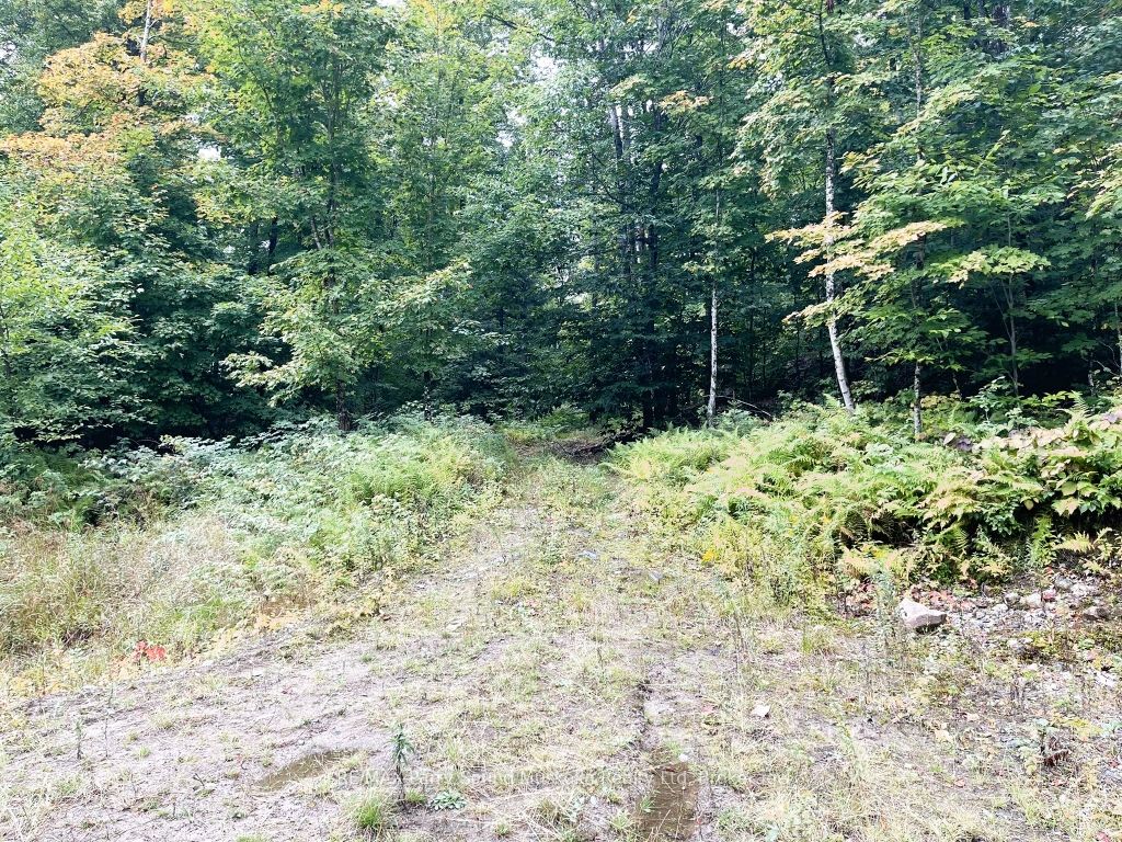 75 Granite Drive Property Photo 7