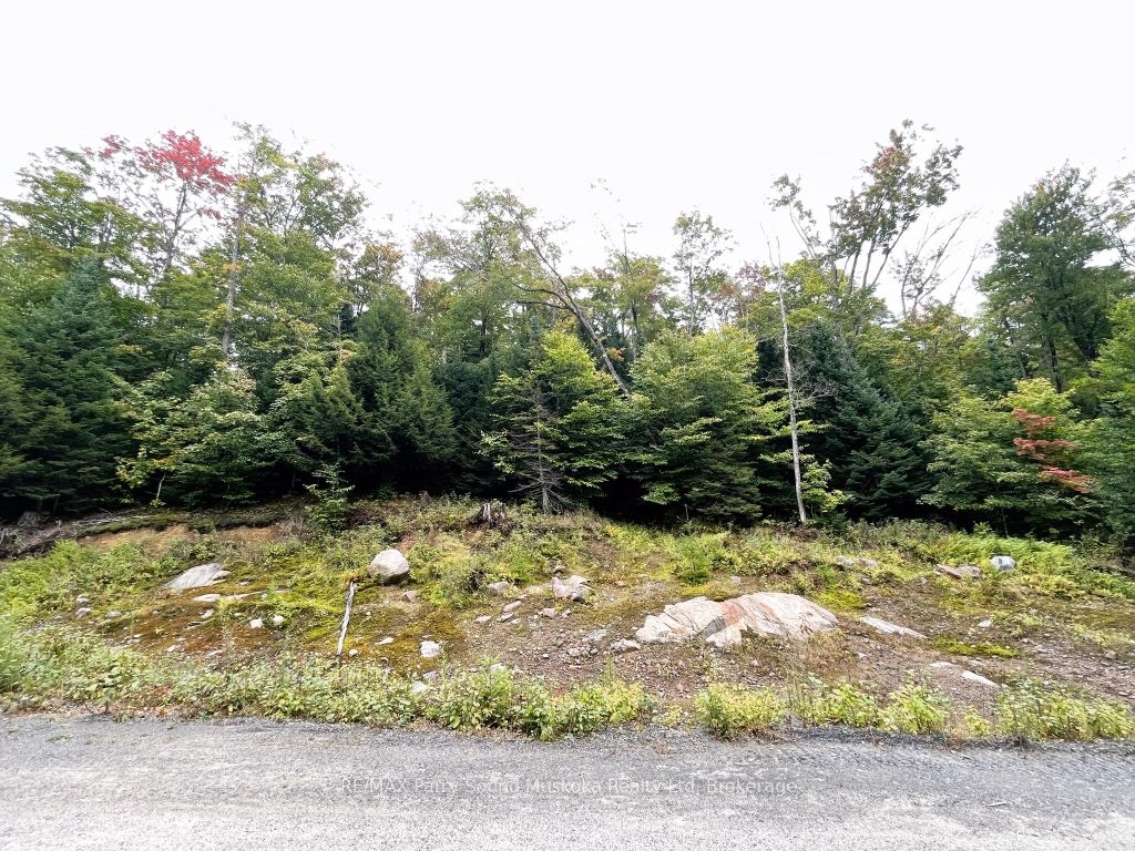 75 Granite Drive Property Photo 11