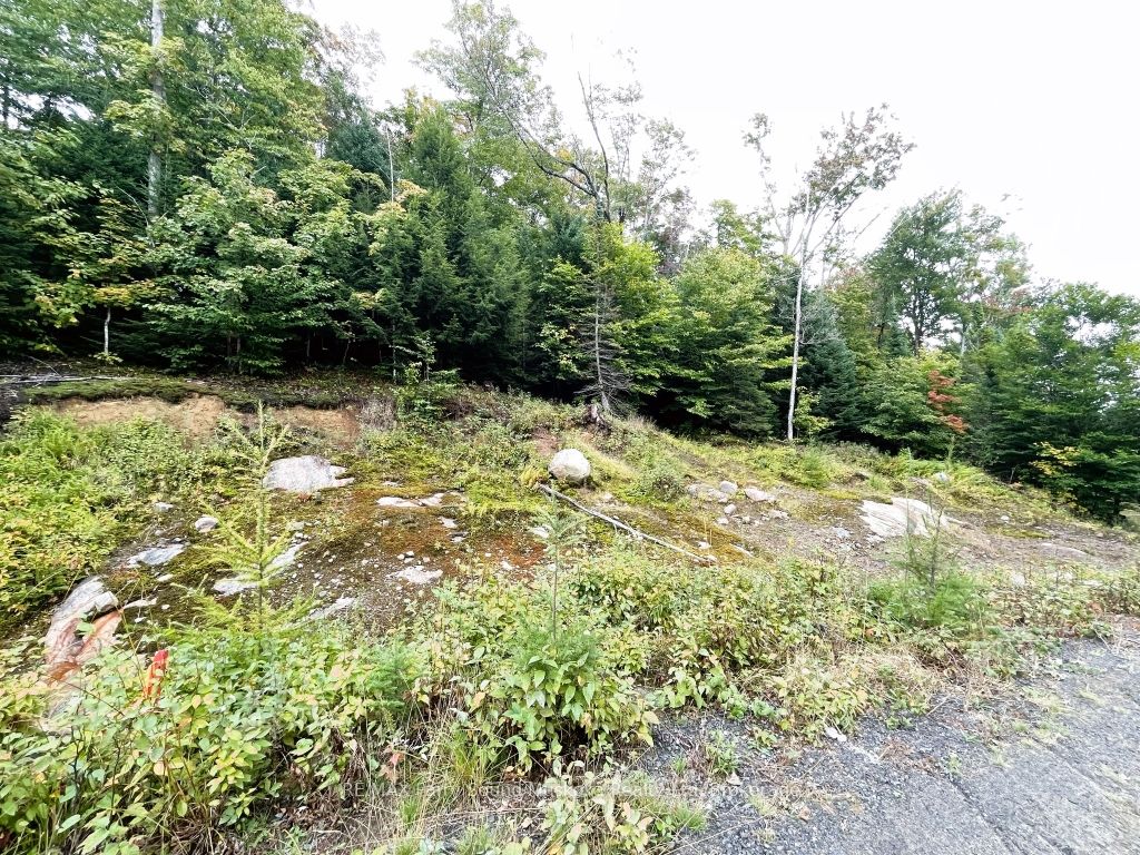 75 Granite Drive Property Photo 12