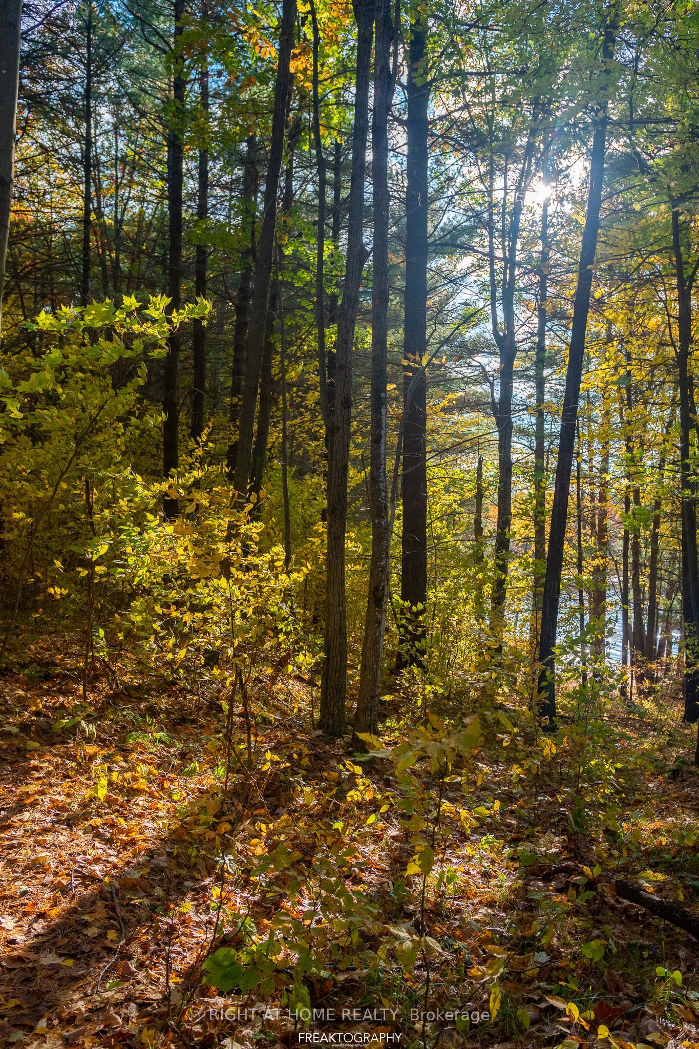 X12706704 Property Photo 1