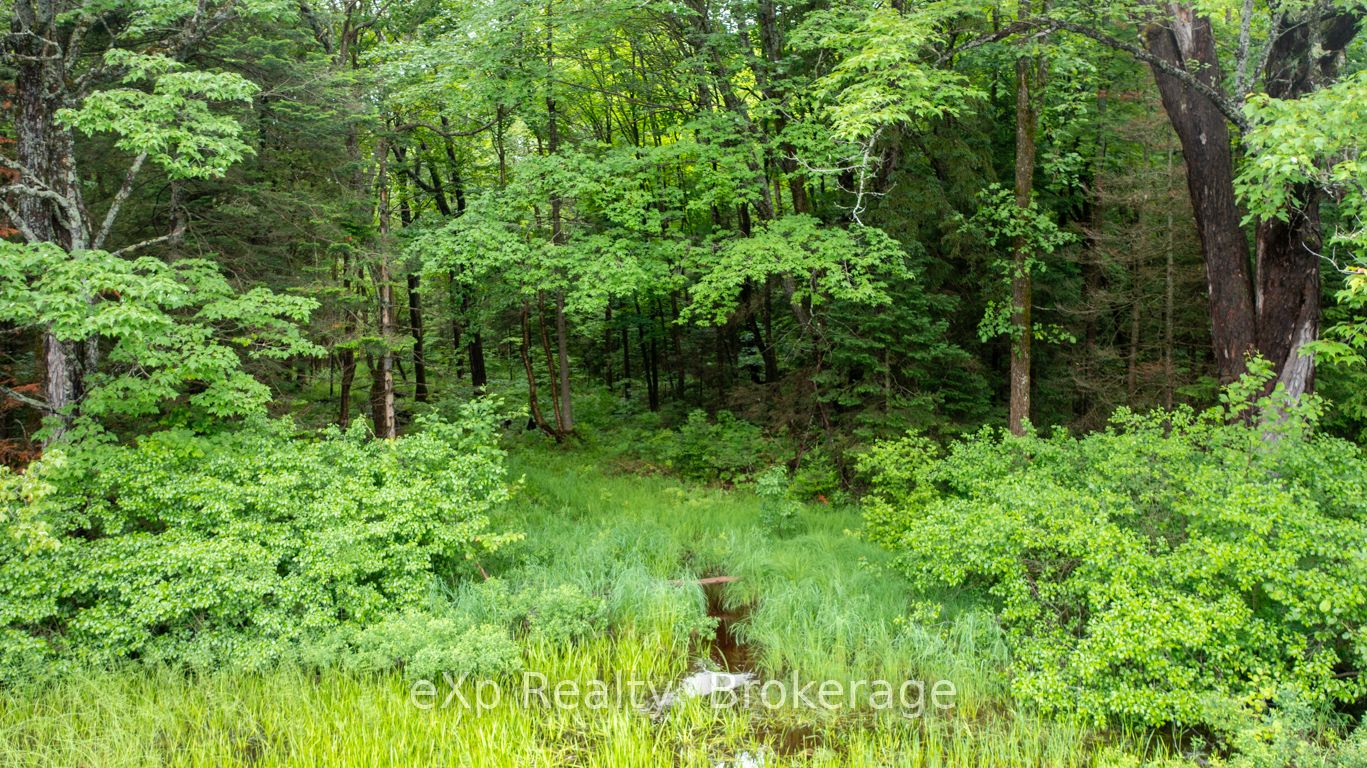 3 Kingfisher Road Property Photo 14