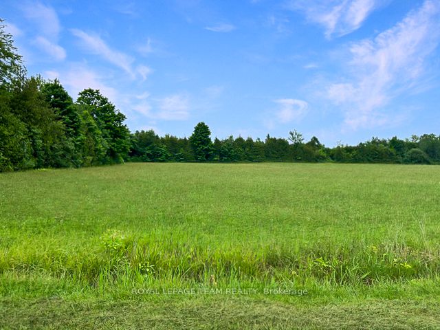 7191 Malakoff Road Property Photo 5