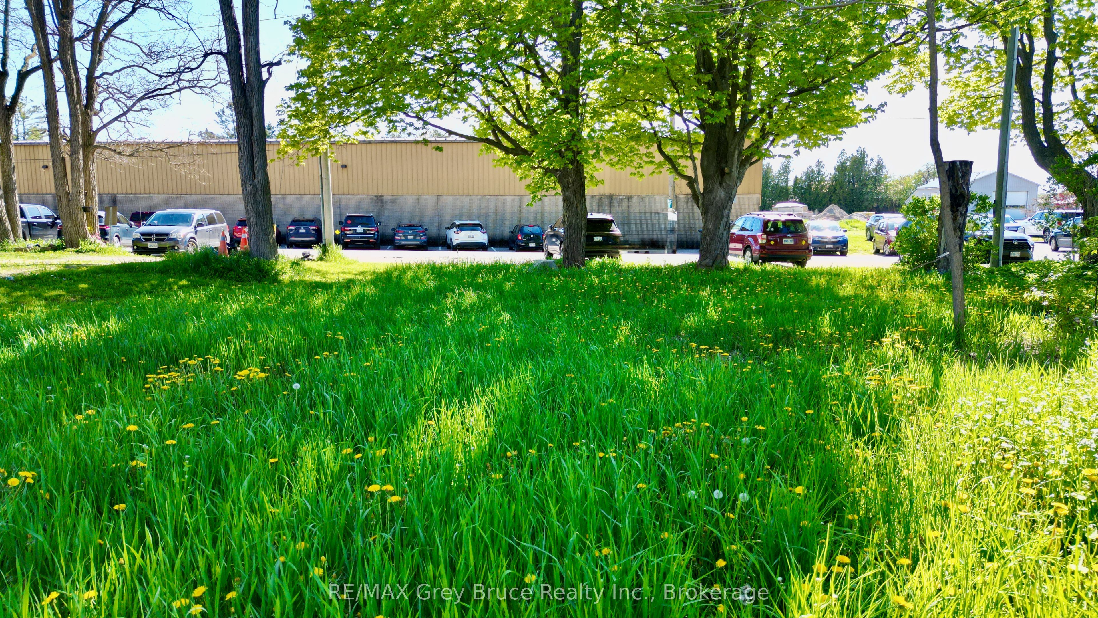 15 Tackabury Street Property Photo 7