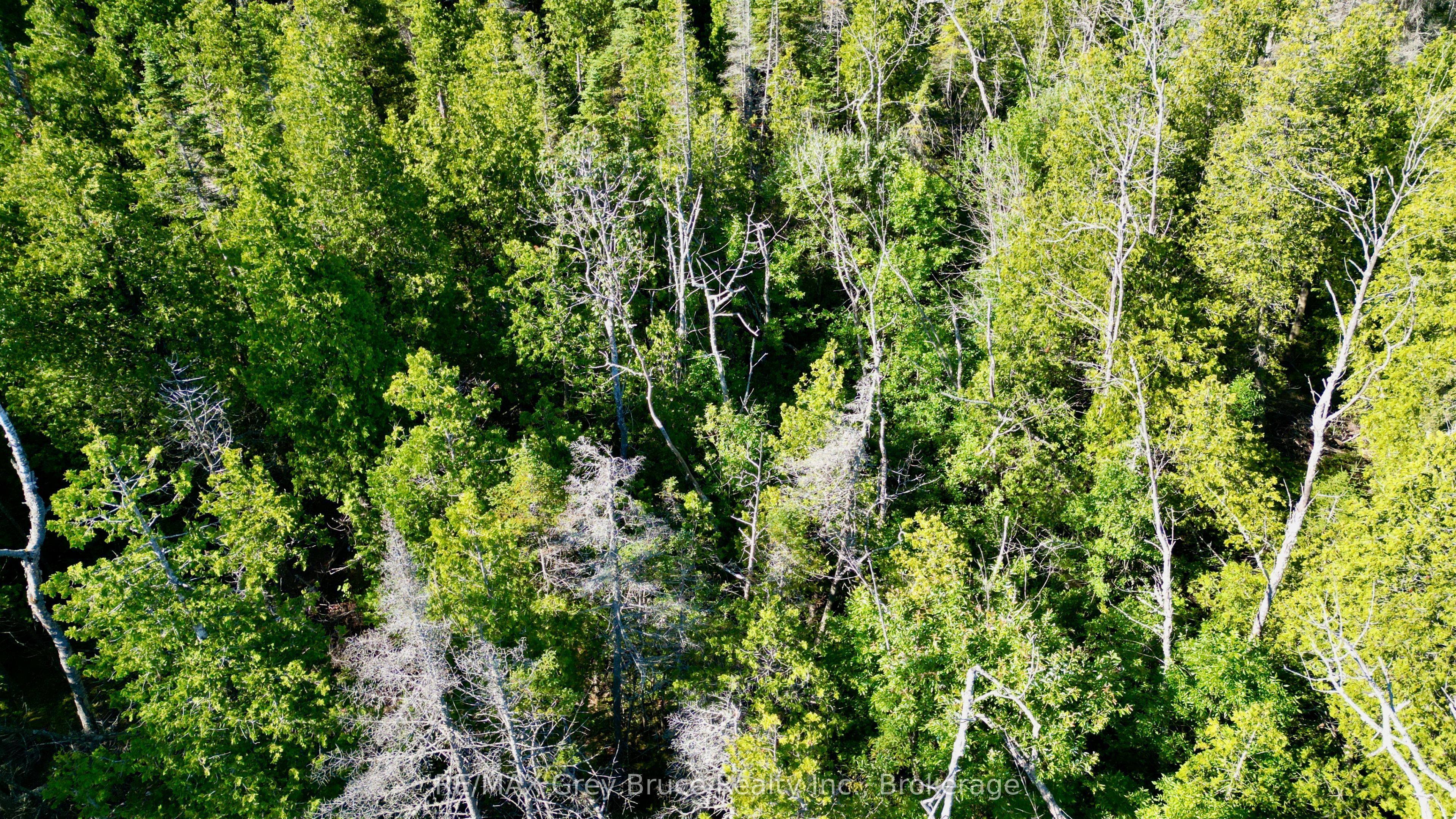 Lot 22 Ray Drive Property Photo 18