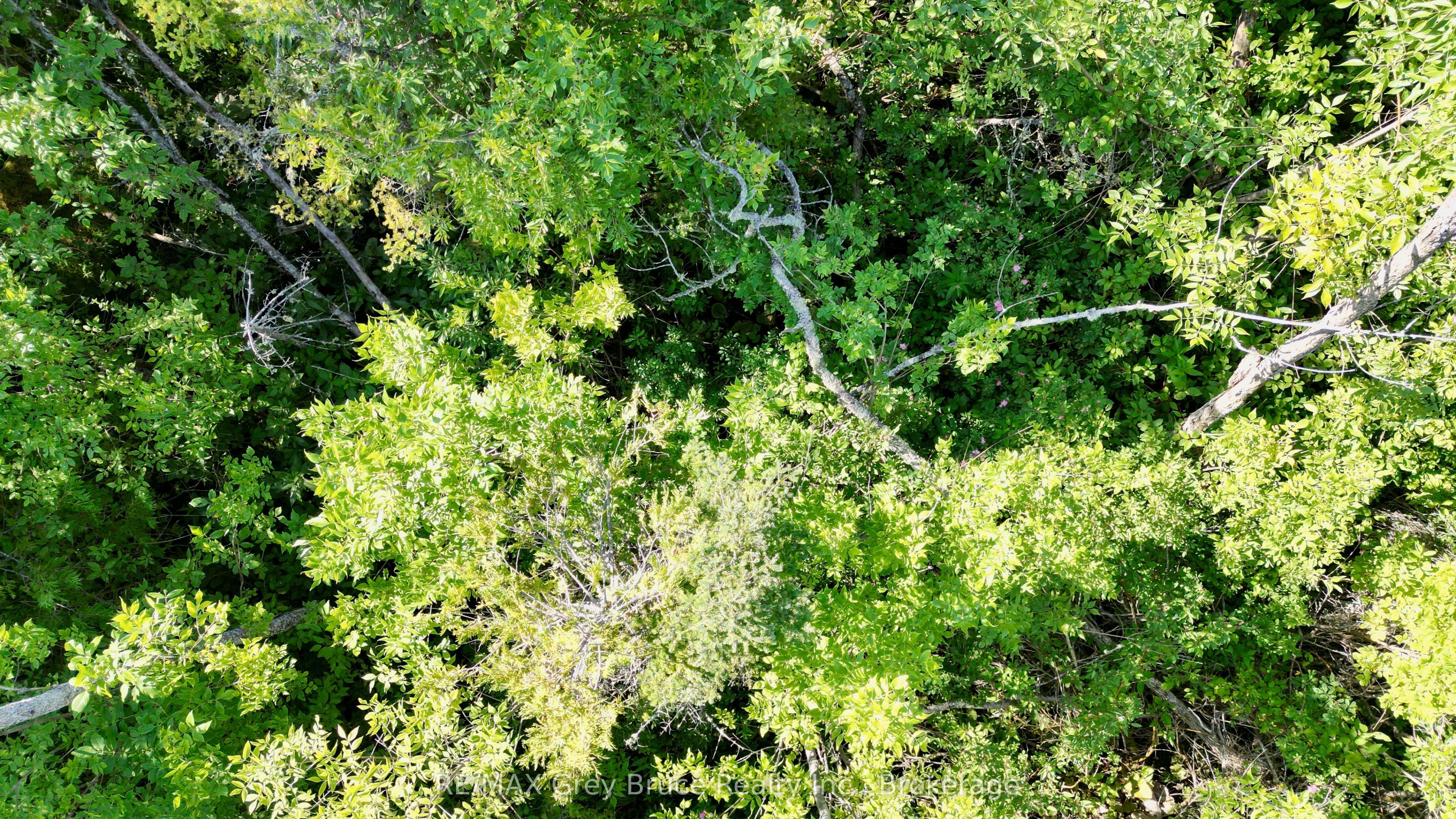 Lot 22 Ray Drive Property Photo 19