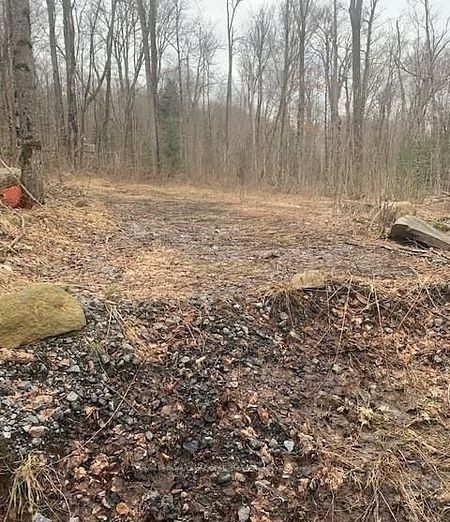 1154 Delia Road Property Photo 6