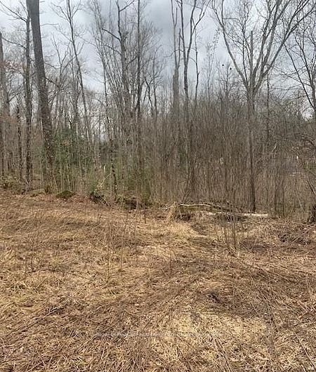 1154 Delia Road Property Photo 7
