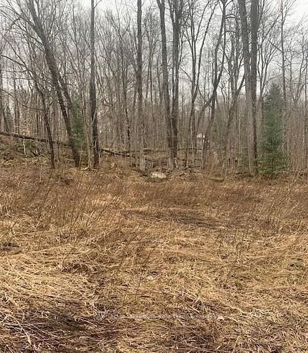 1154 Delia Road Property Photo 8