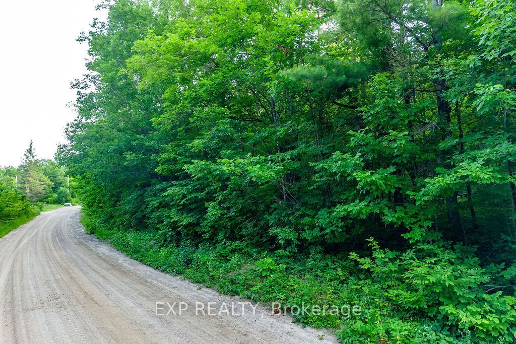 00 Mine View Road Property Photo 2