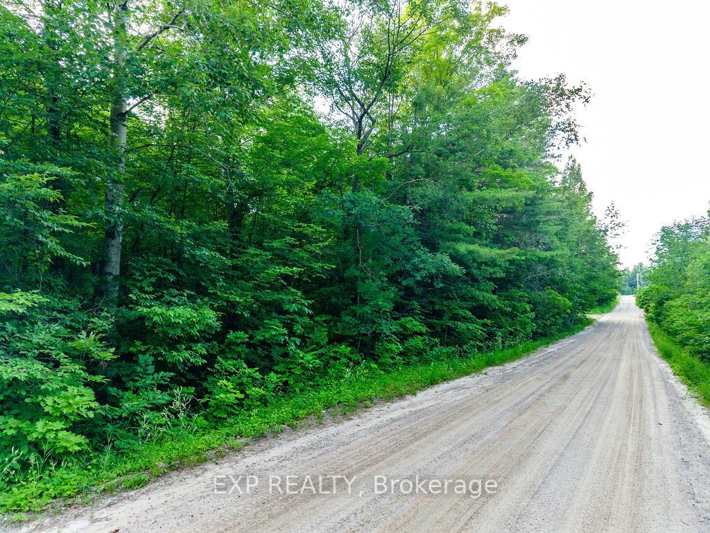 00 Mine View Road Property Photo 3