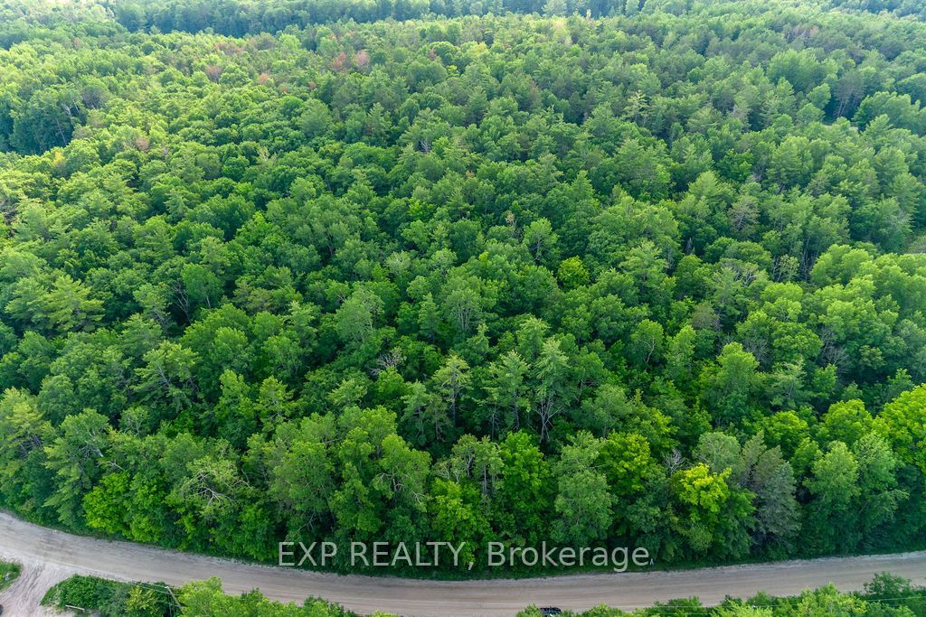 00 Mine View Road Property Photo 4